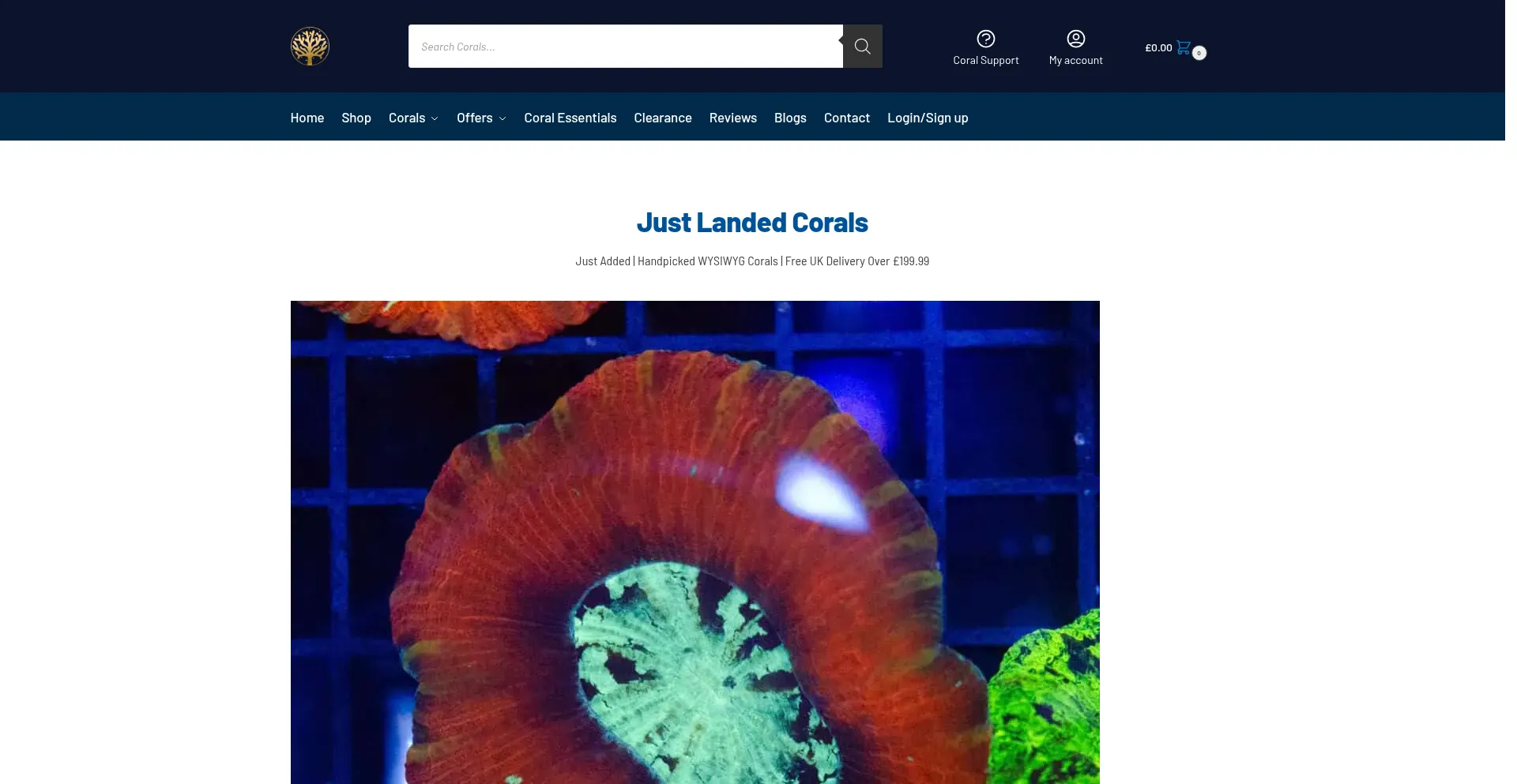 Coralvault.co.uk