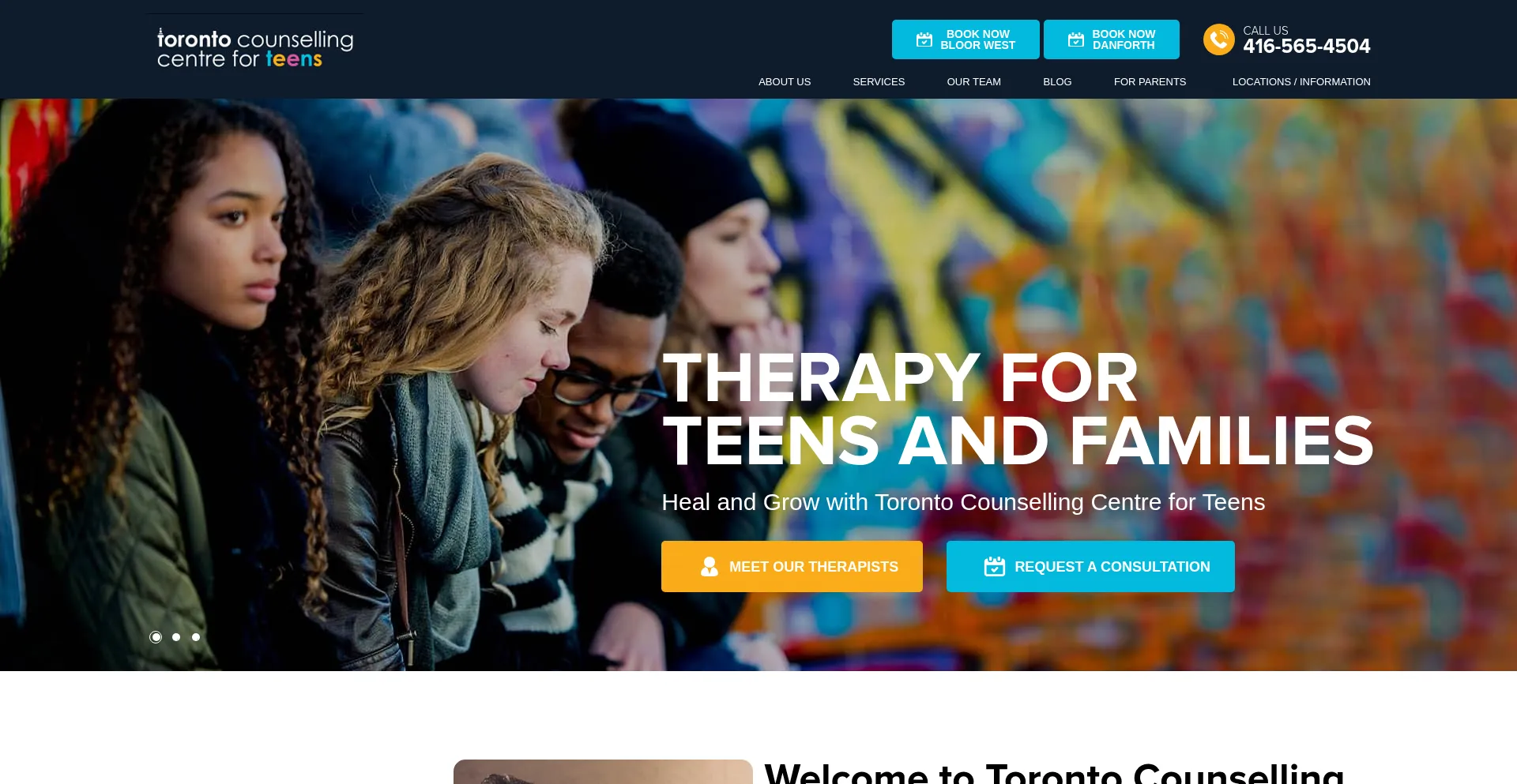 Website screenshot of Counsellingtorontoteens.com