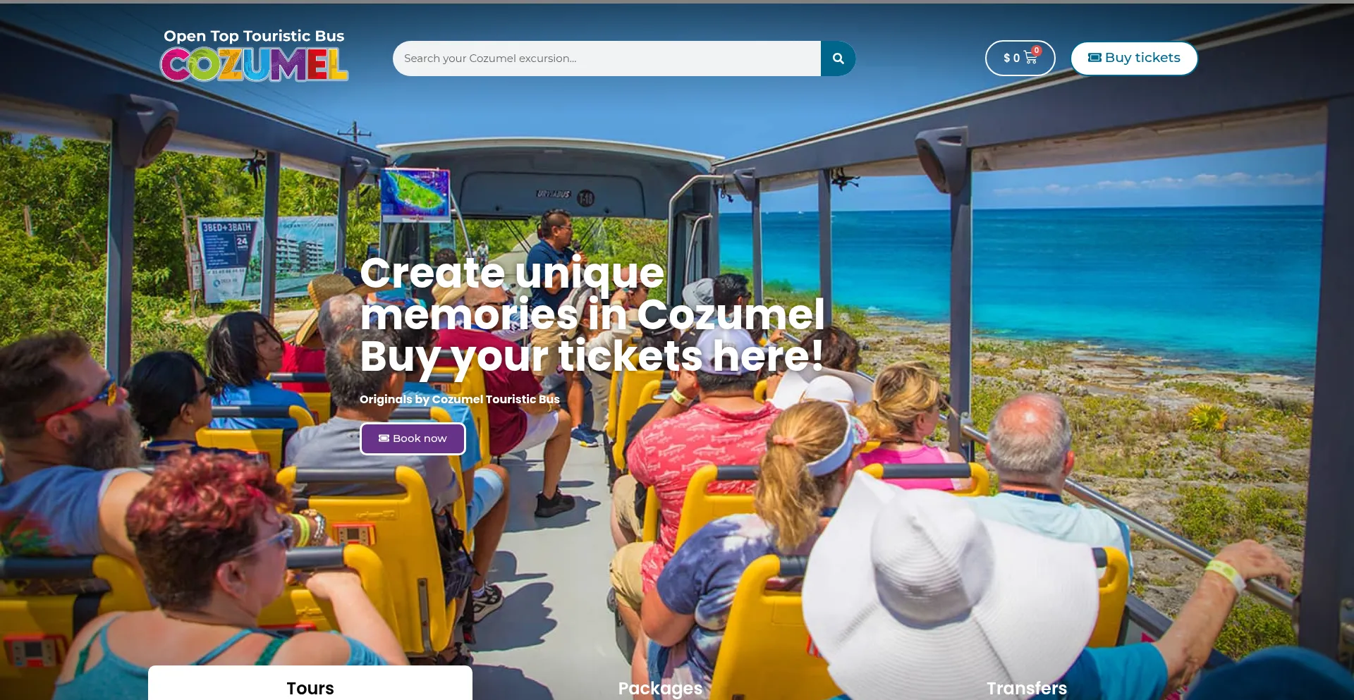 Website screenshot of Cozumelopentopbus.com