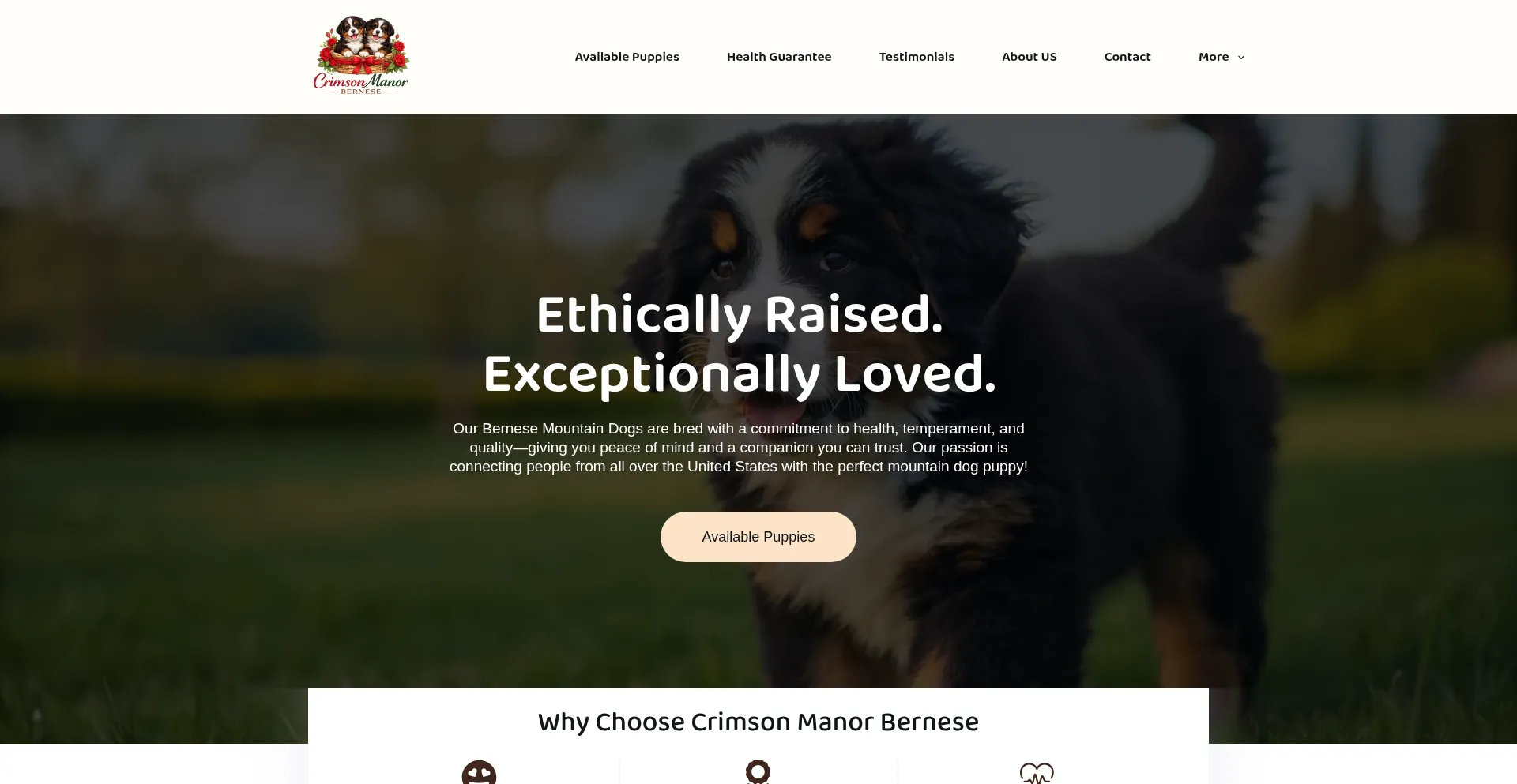 Crimsonmanorbernese.com