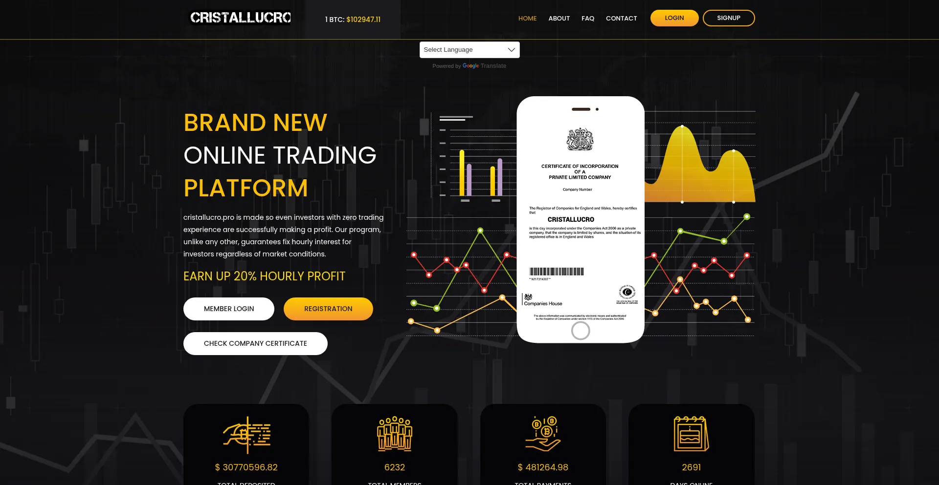 Website screenshot of Cristallucro.pro
