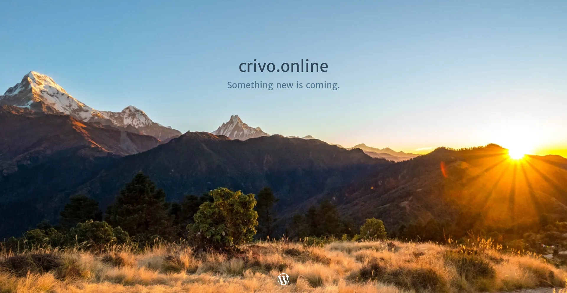 Crivo.online