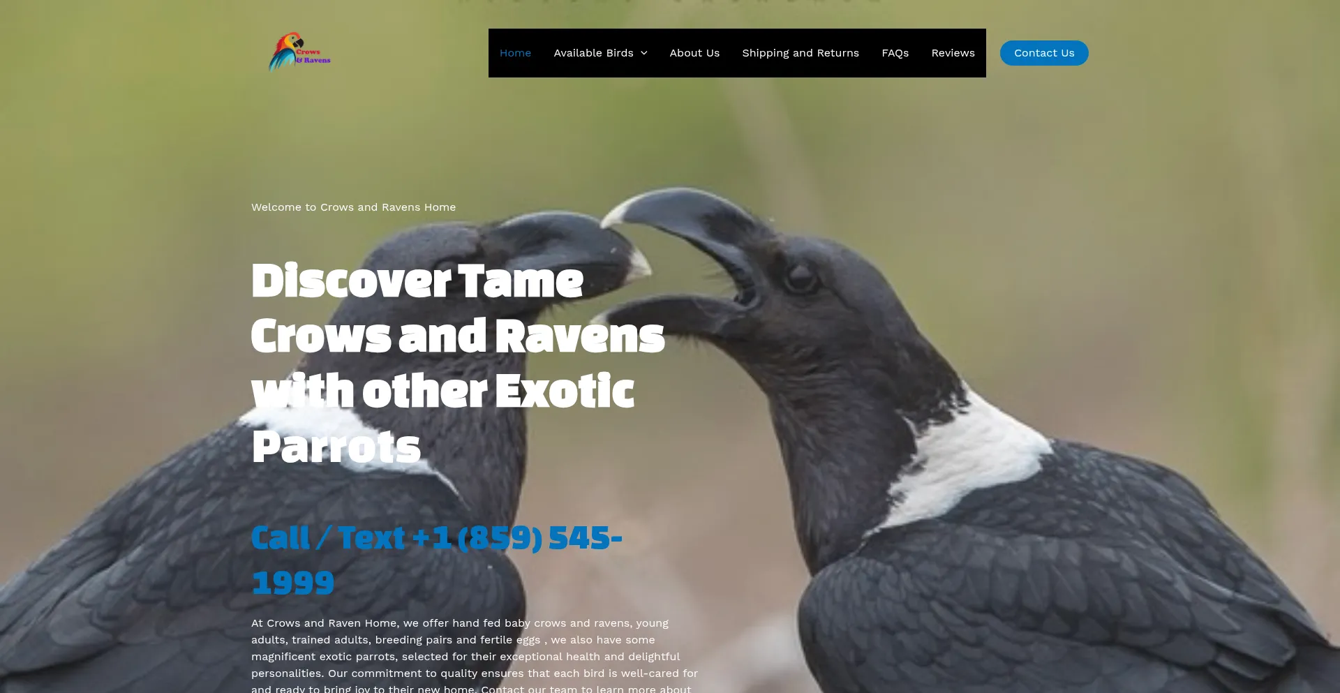 Website screenshot of Crowsandravenshome.com