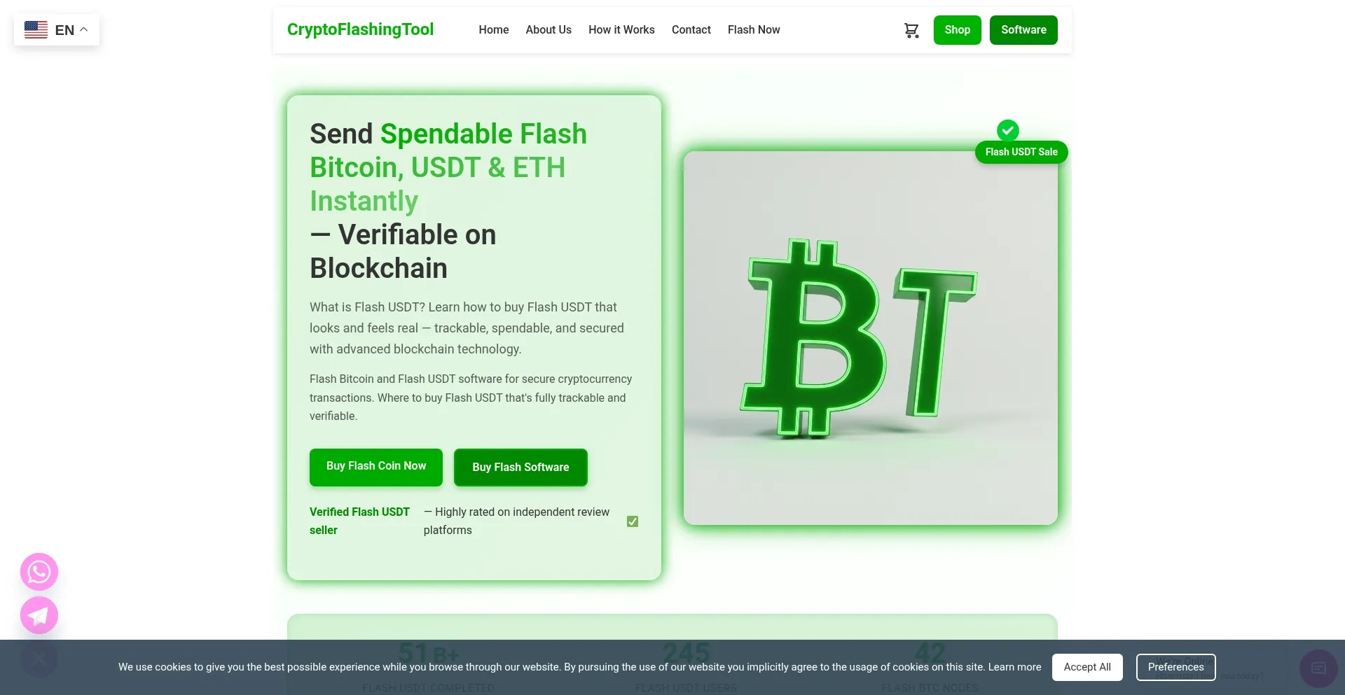 Website screenshot of Cryptoflashingtool.com