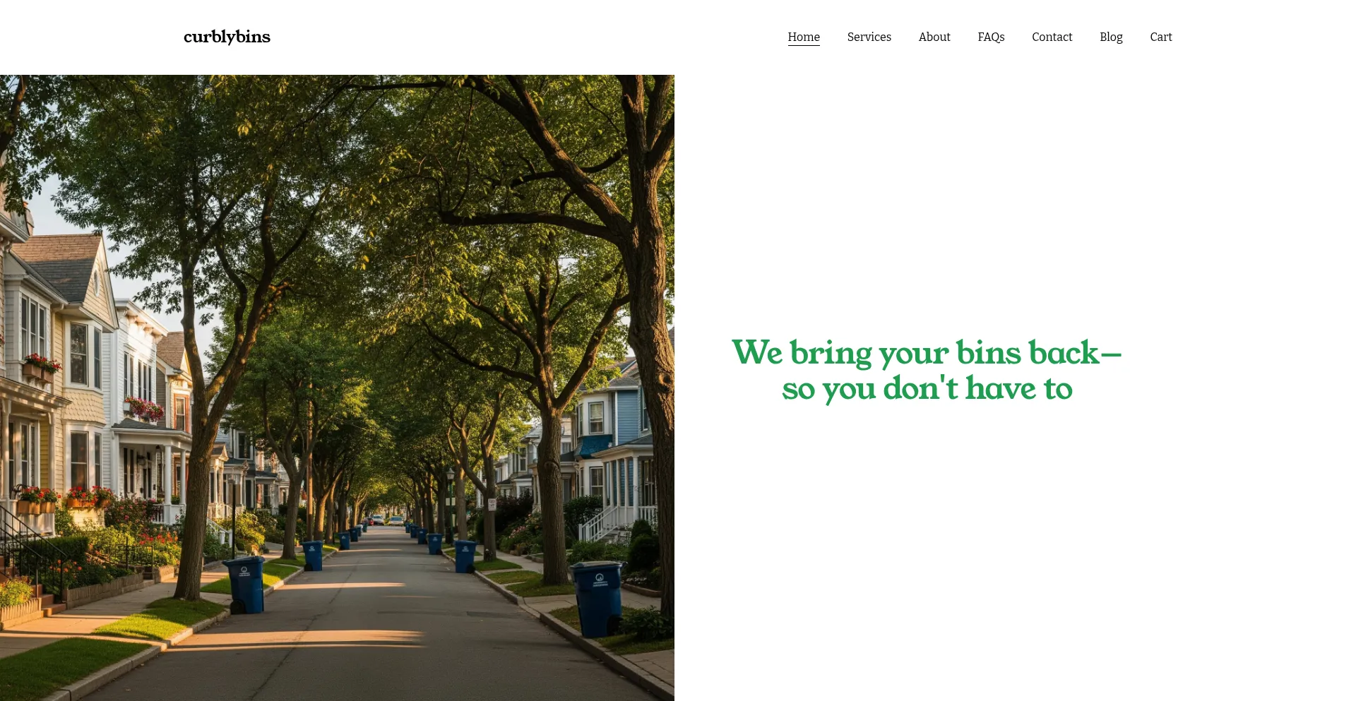 Website screenshot of Curblybins.com