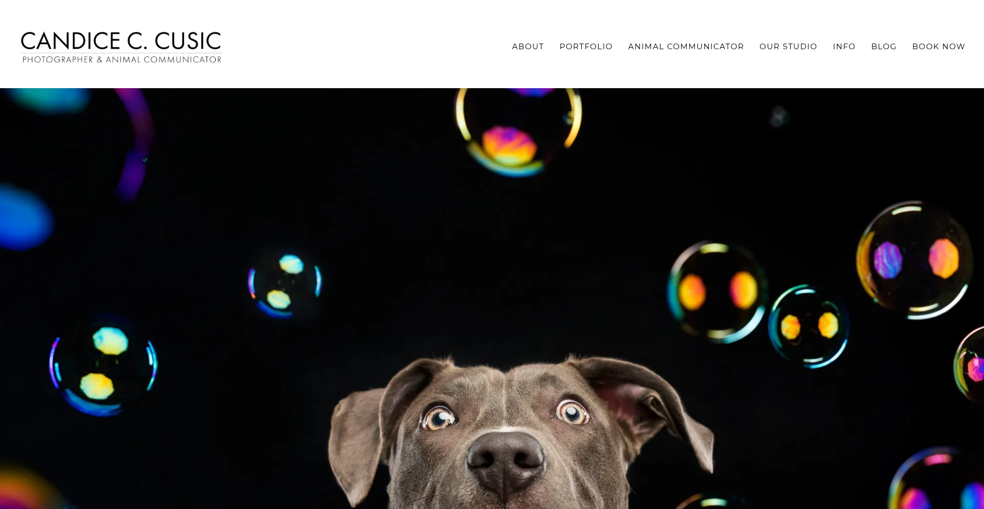 Website screenshot of Cusicphoto.com