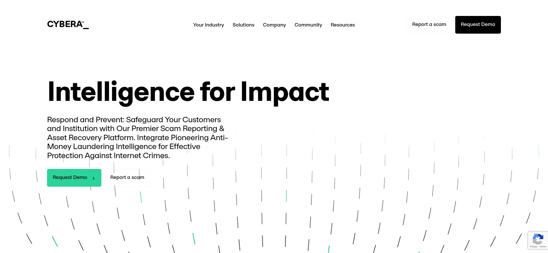 Website screenshot of Cybera.io