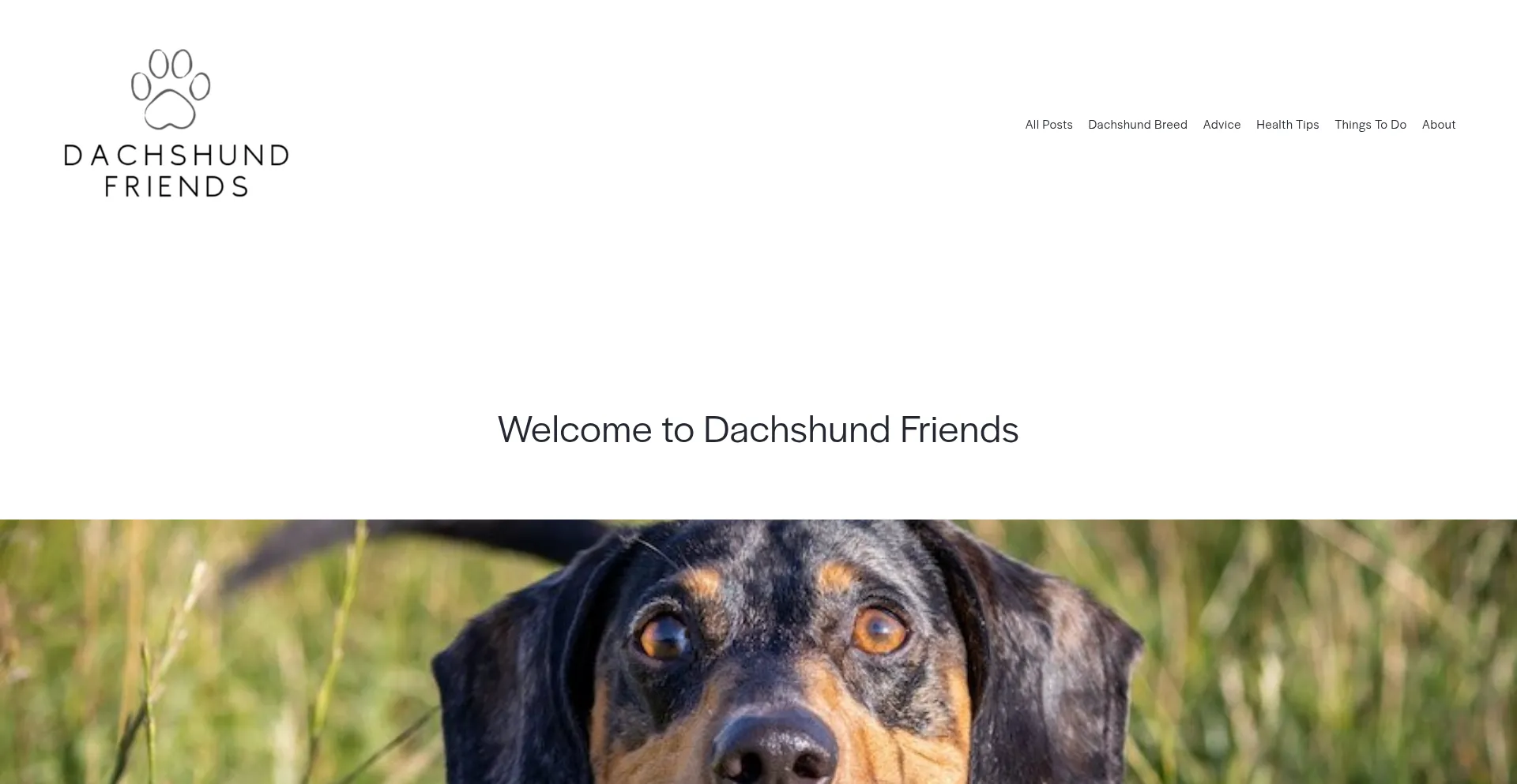 Website screenshot of Dachshundfriends.com