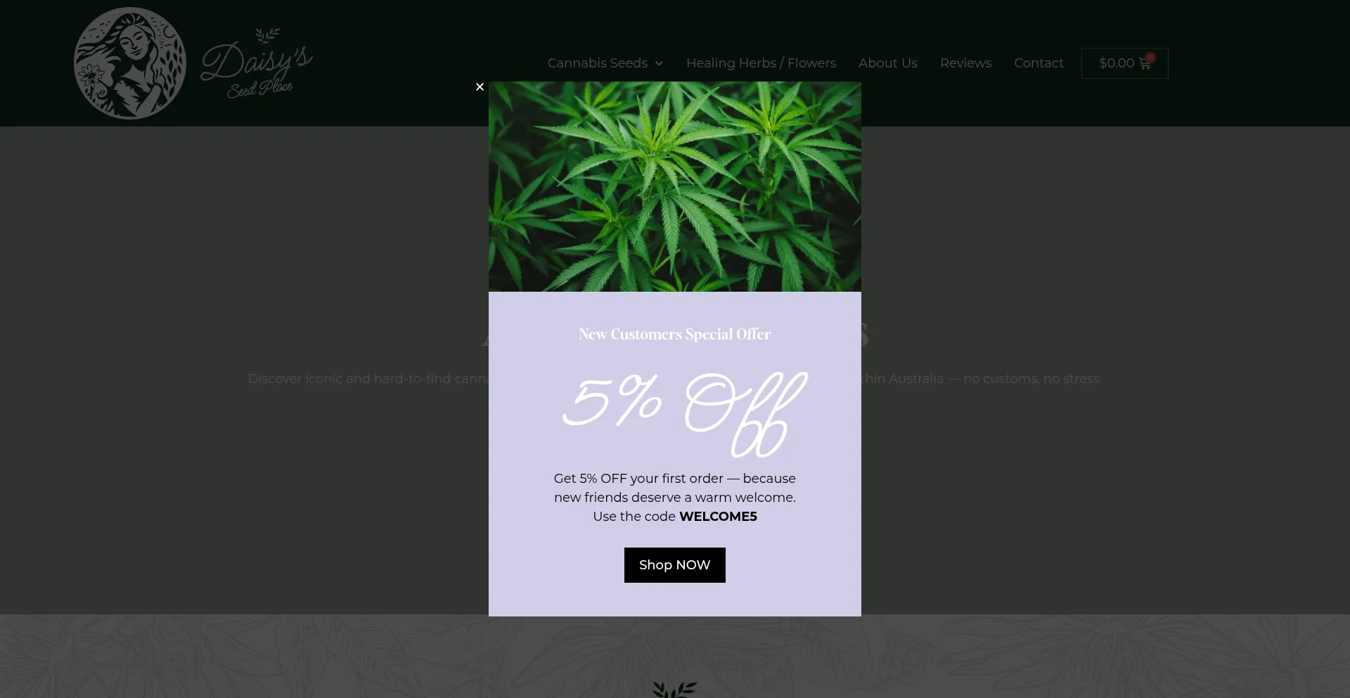 Daisysseedplace.com.au