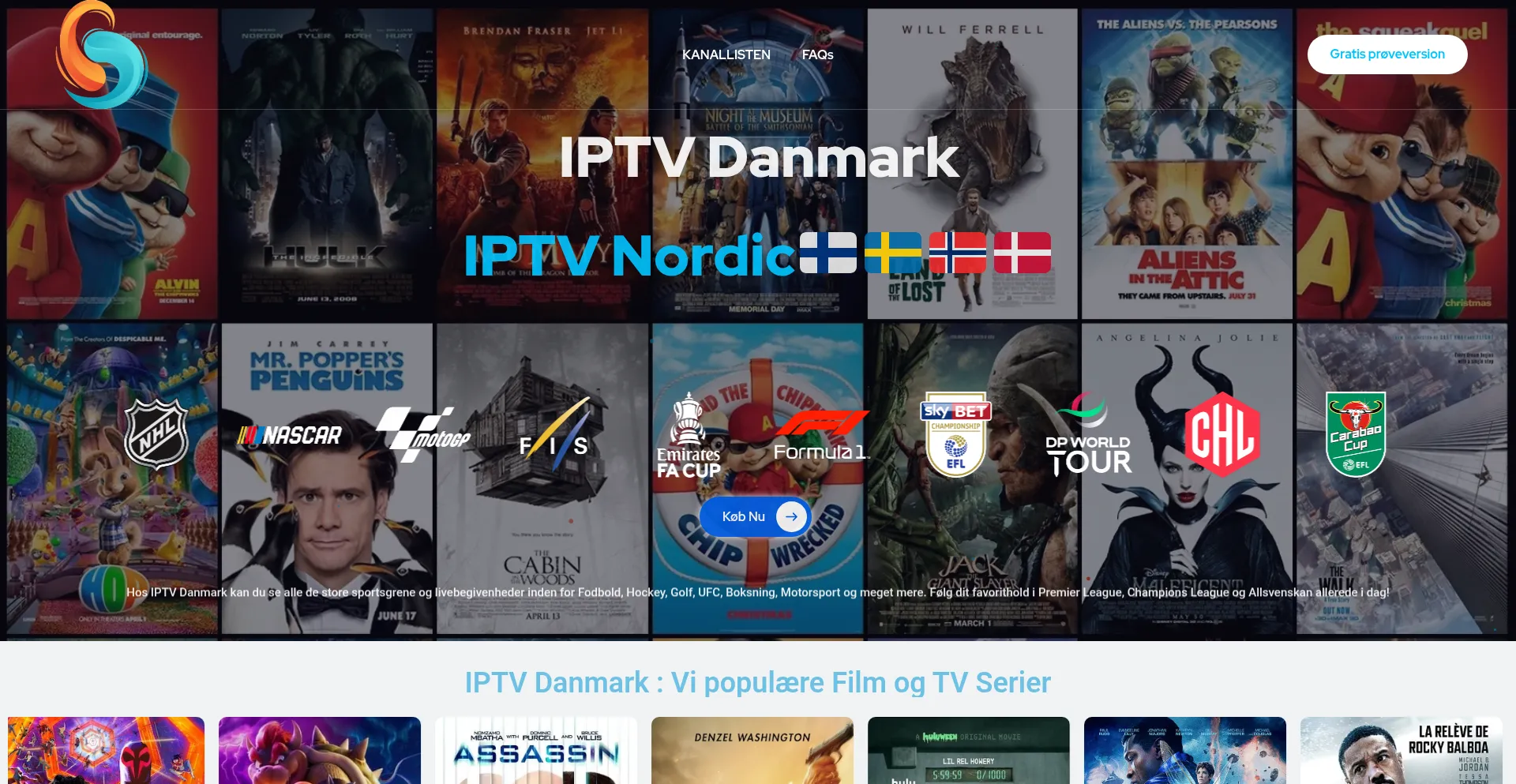 Website screenshot of Danmarkiptv.dk