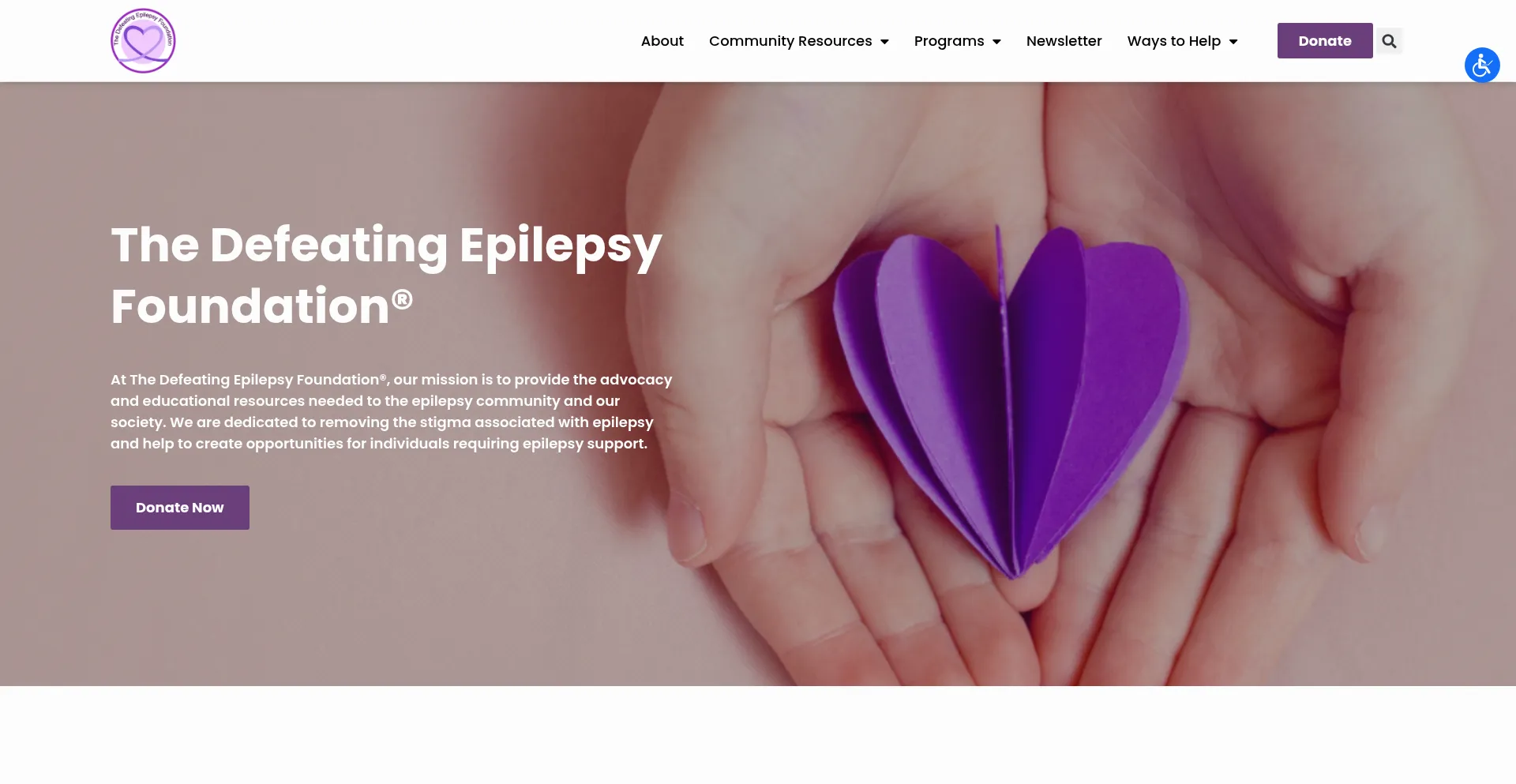 Defeatingepilepsy.org