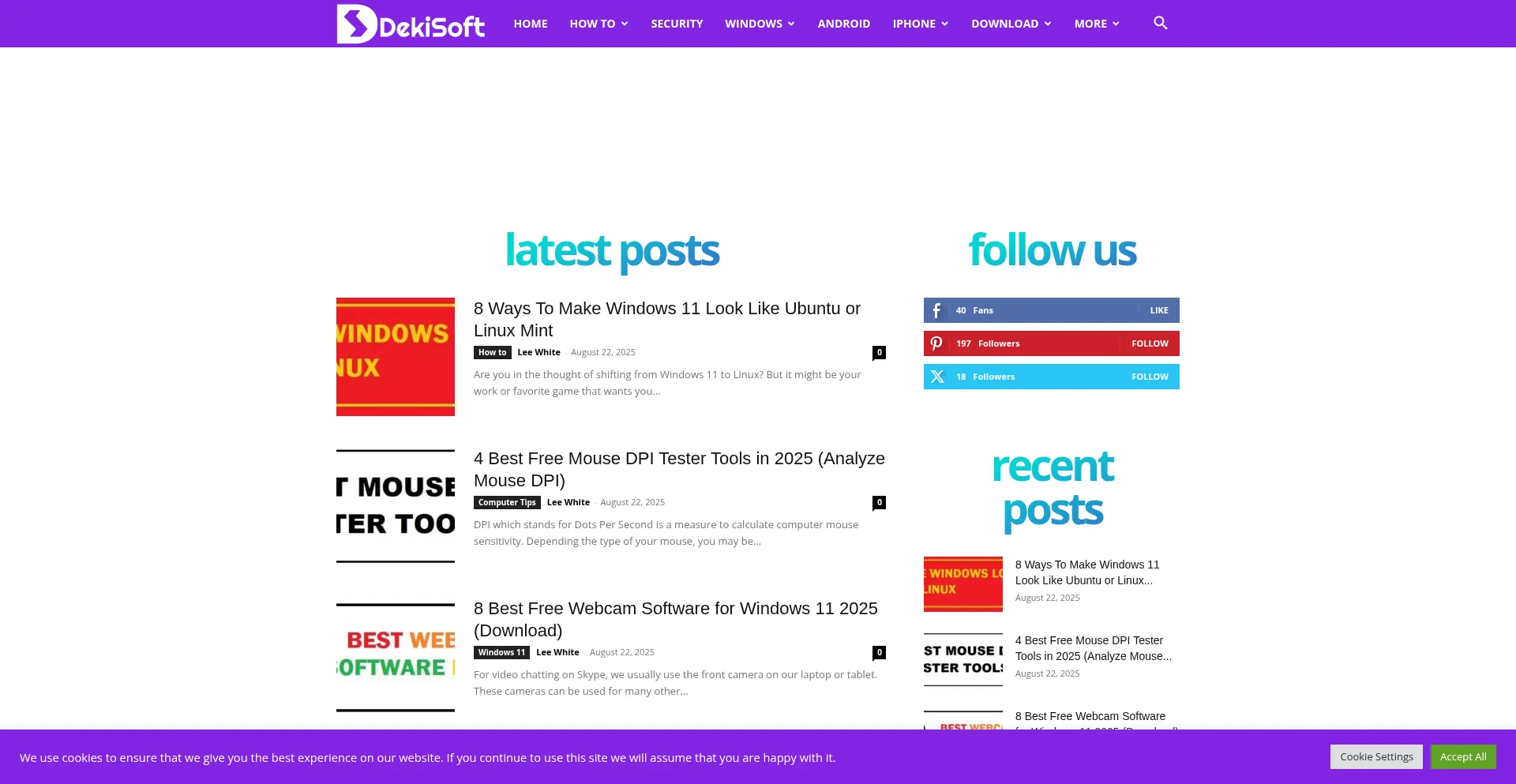 Website screenshot of Dekisoft.com
