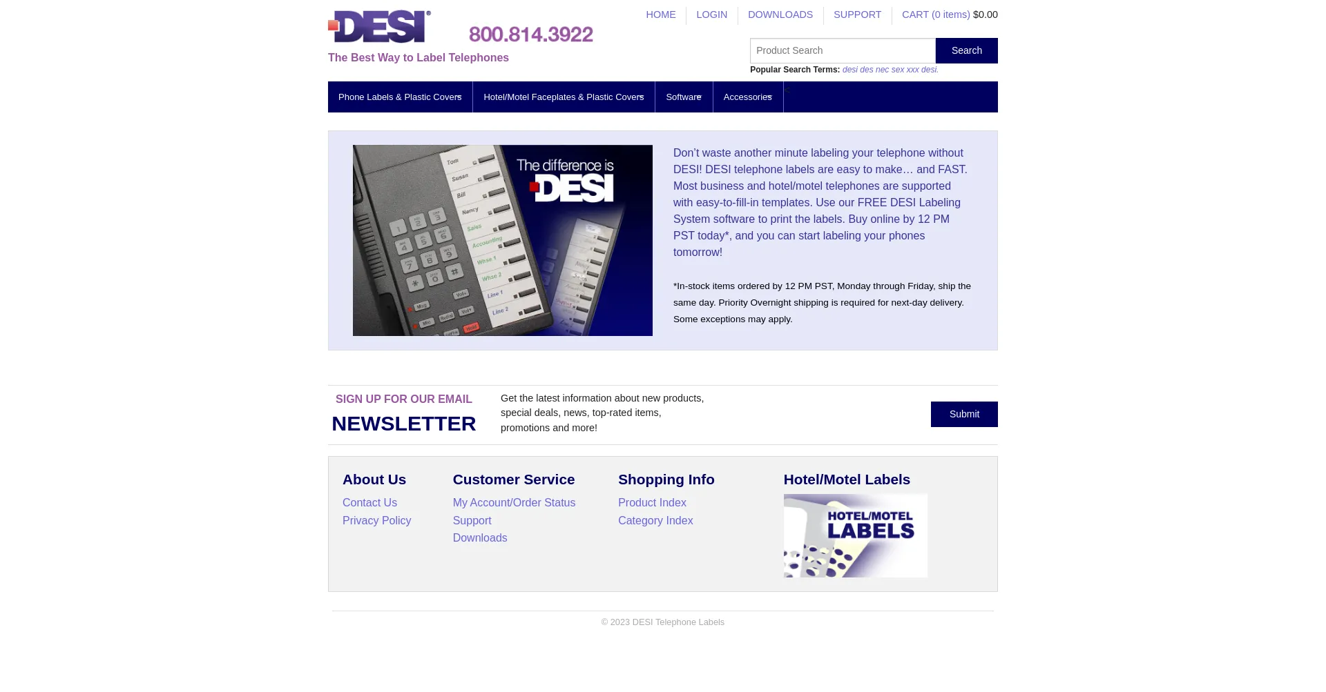 Website screenshot of Desi.com
