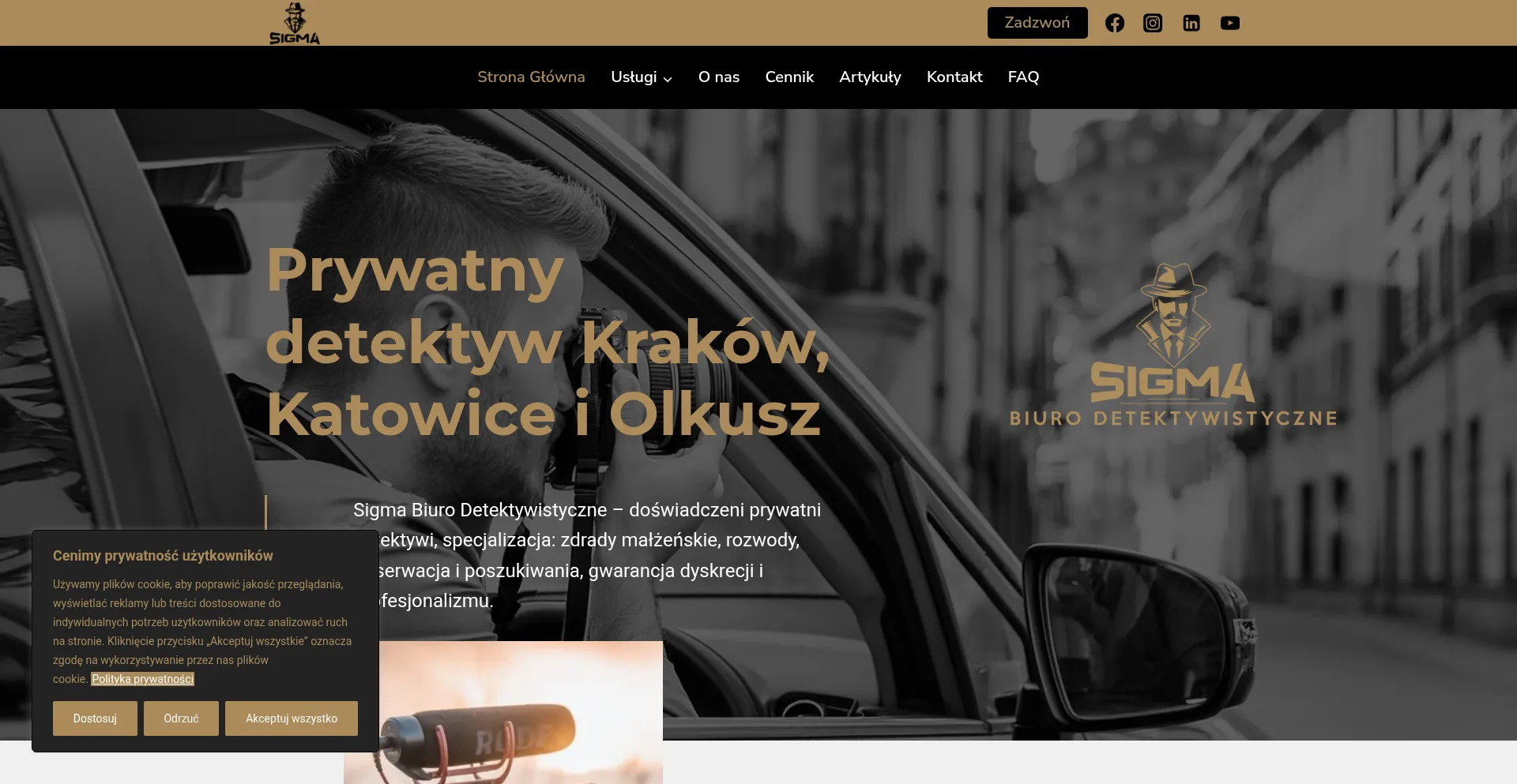Detektywsigma.pl