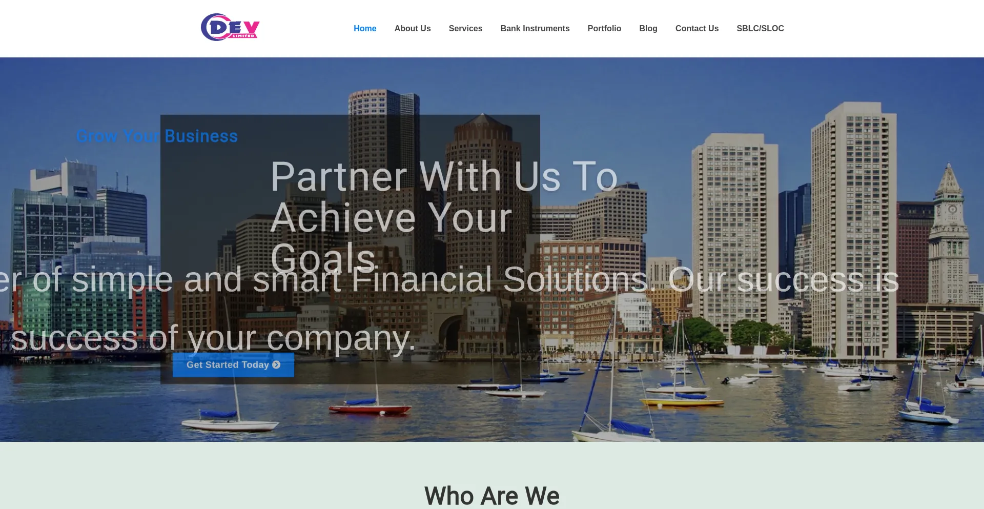 Website screenshot of Devltd.org