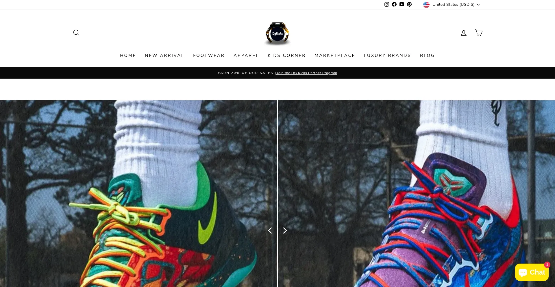 Website screenshot of Dgkicks.com