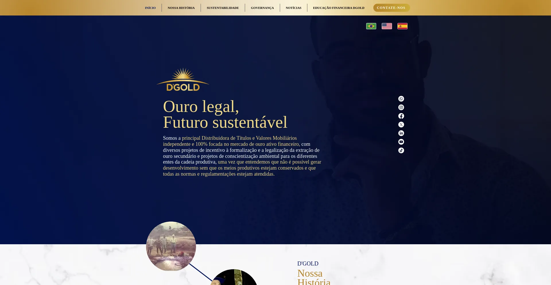 Website screenshot of Dgolddtvm.com.br