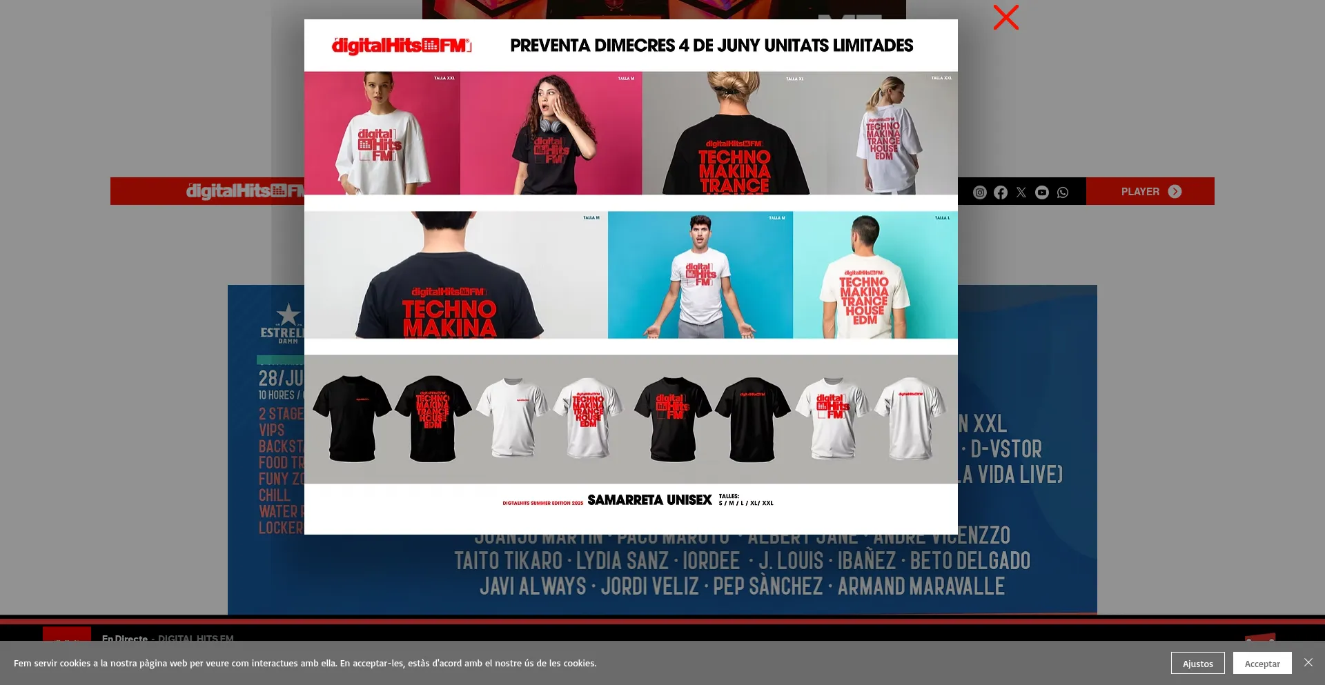 Website screenshot of Digitalhits.cat