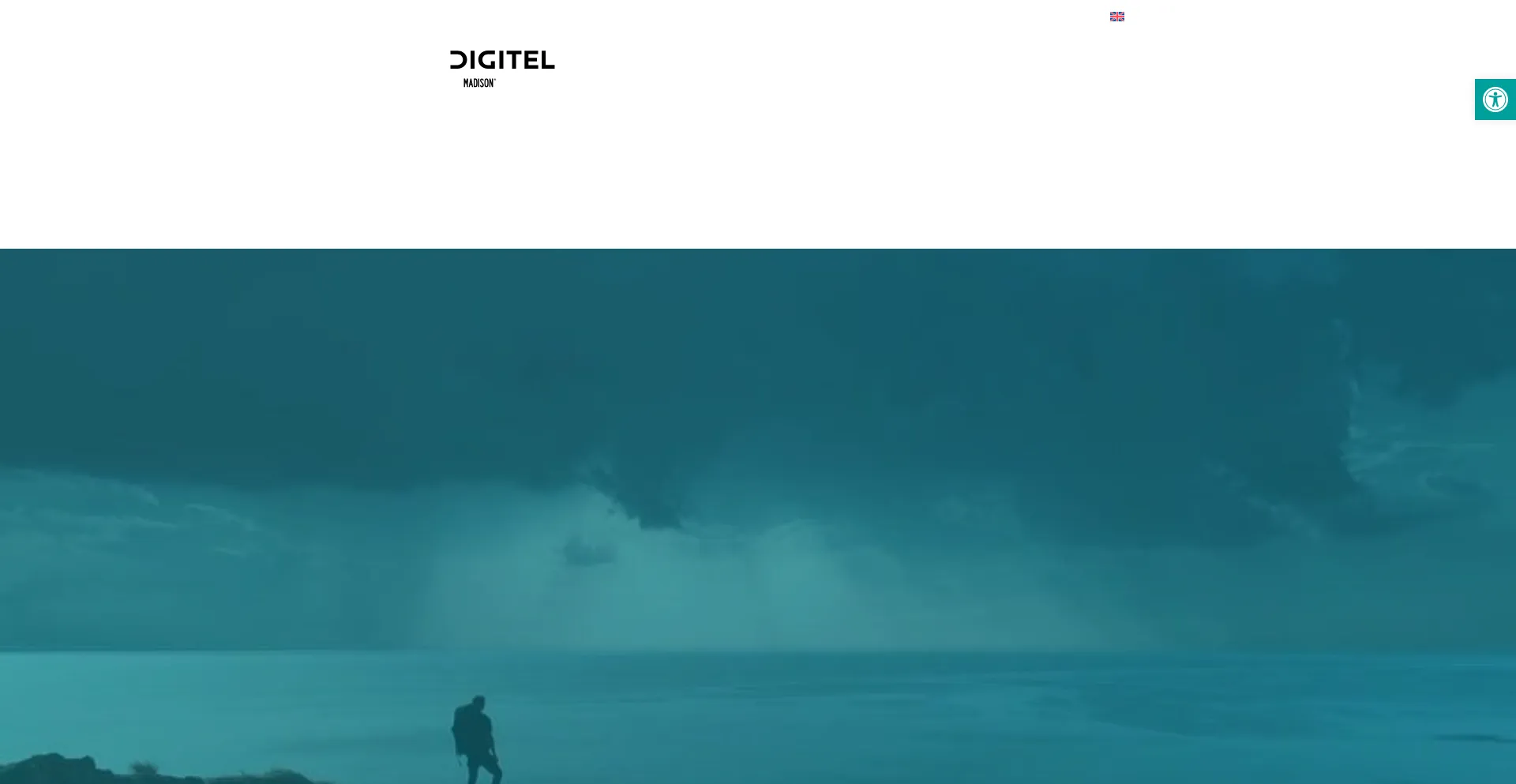 Digitelts.com est-il Sûr et Fiable ?
