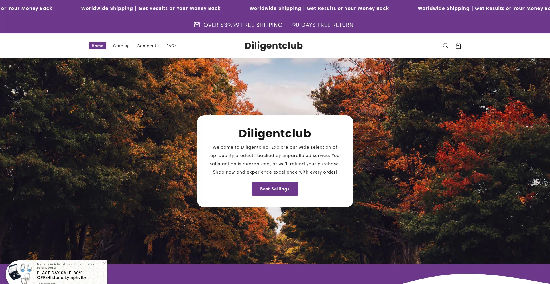 Website screenshot of Diligentclub.com