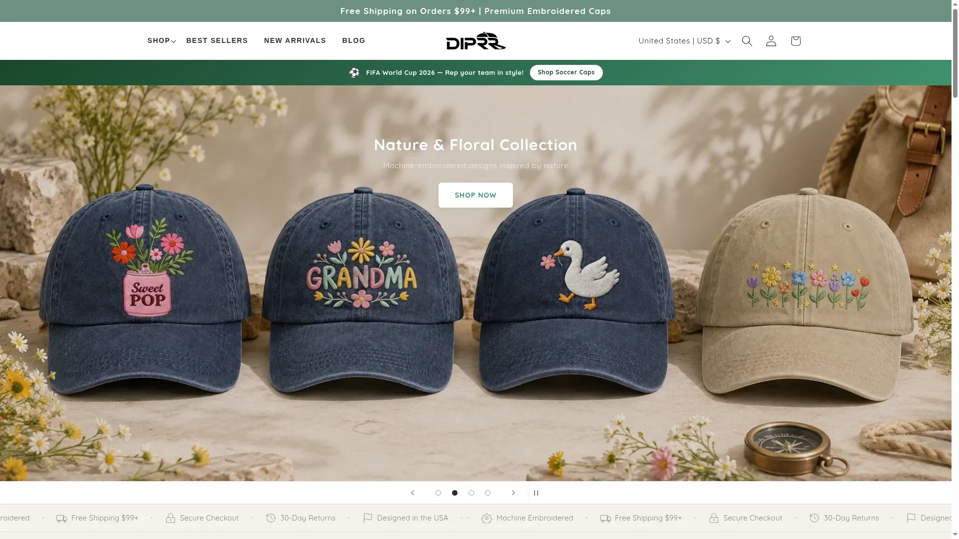 Diprr.com