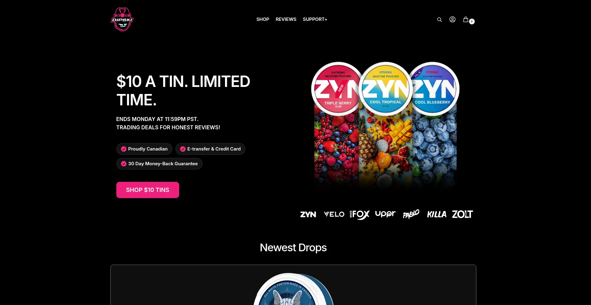 Dipski.co