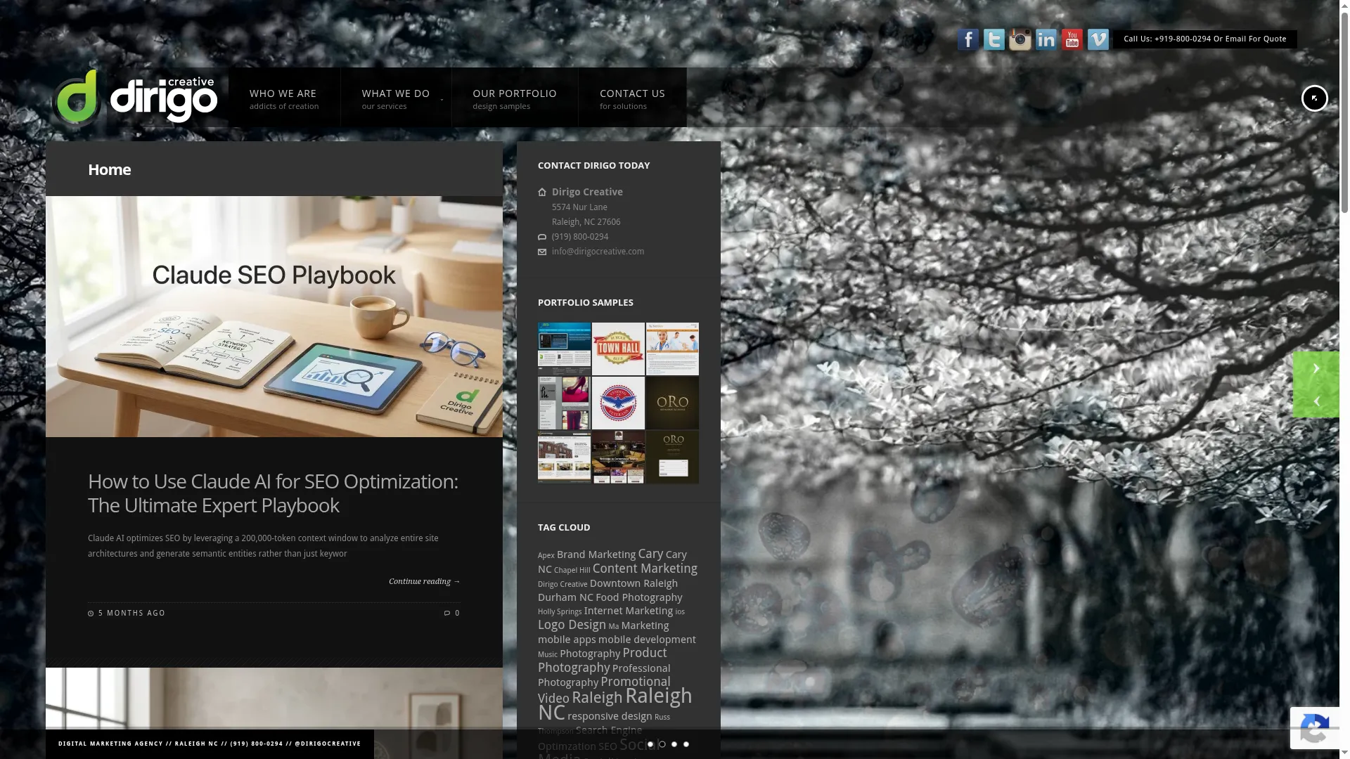 Dirigocreativeplay.com