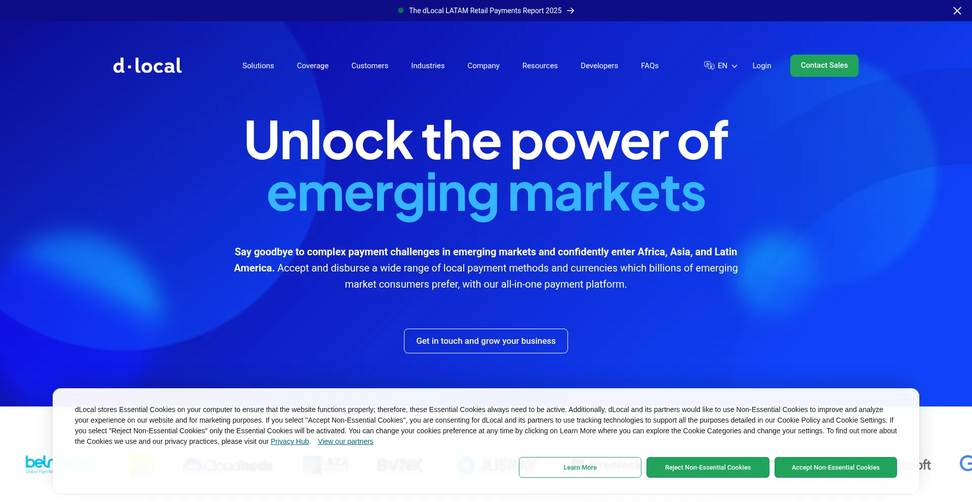 Dlocal.com Screenshot