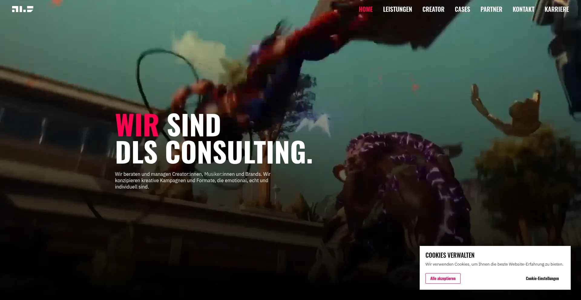 Dls-consulting.de