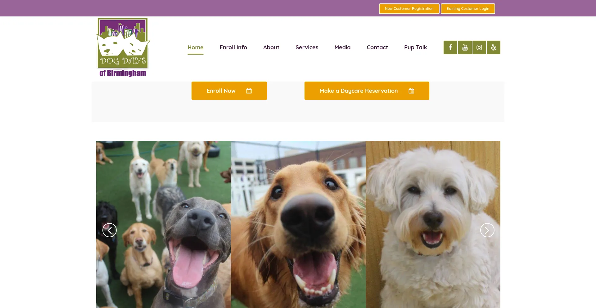 Dogdaysofbirmingham.com est-il Sûr et Fiable ?