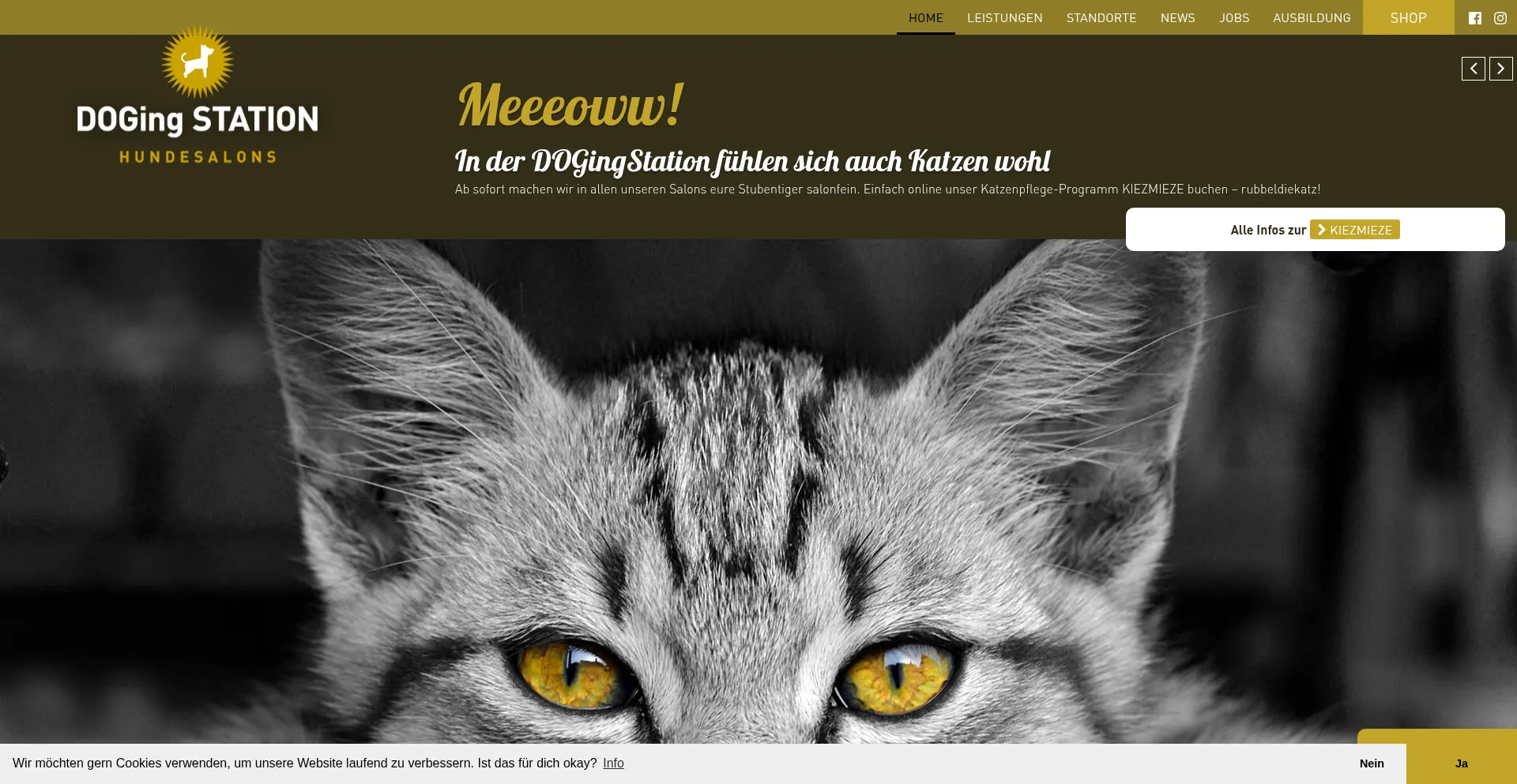 Dogingstation.de est-il Sûr et Fiable ?