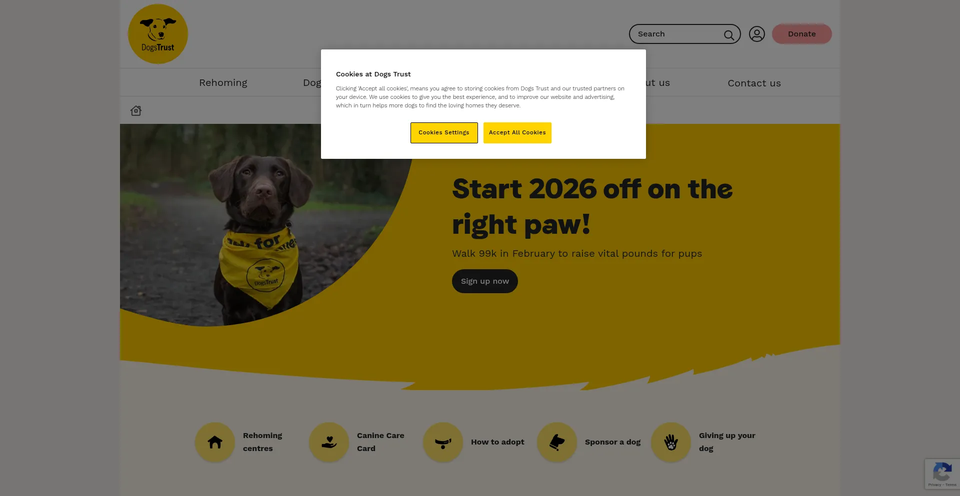 Dogstrust.org.uk