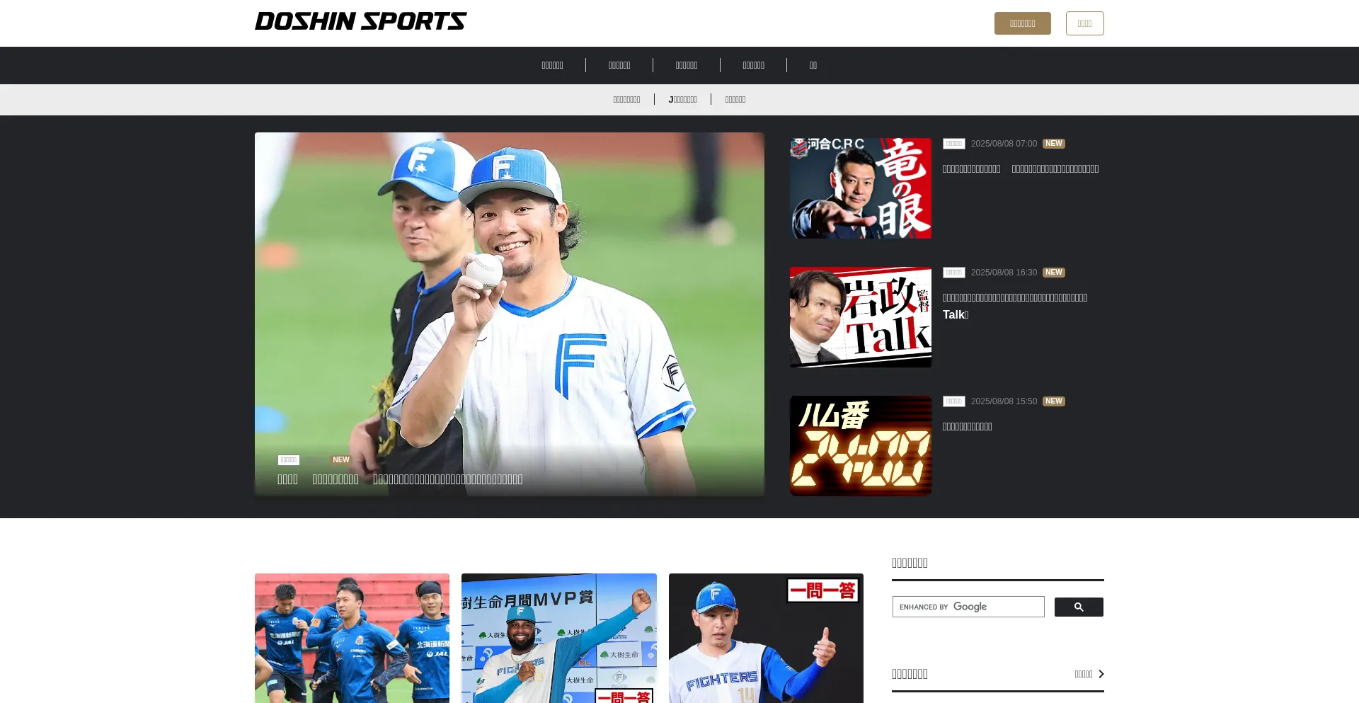 Website screenshot of Doshinsports.com