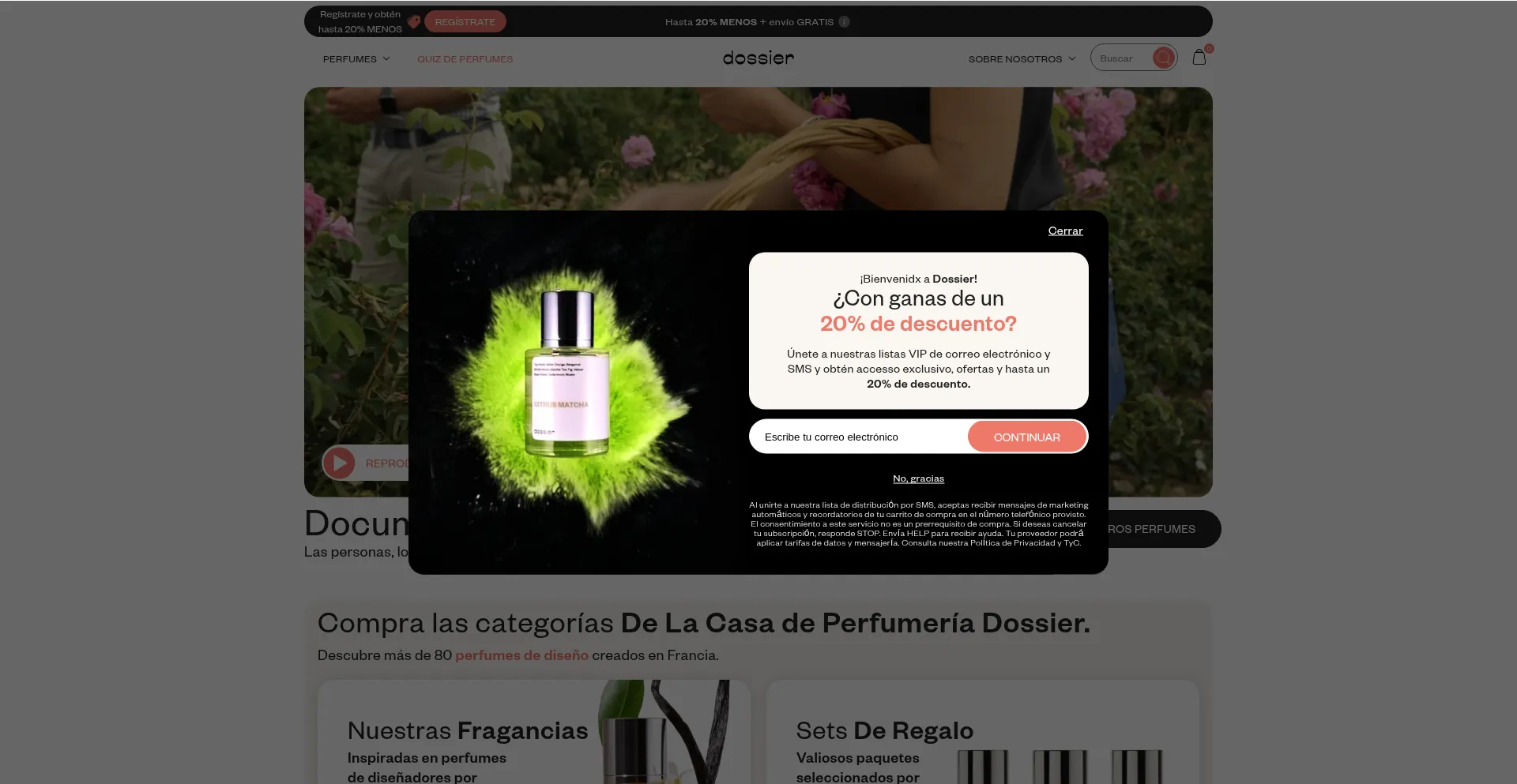 Website screenshot of Dossier.mx