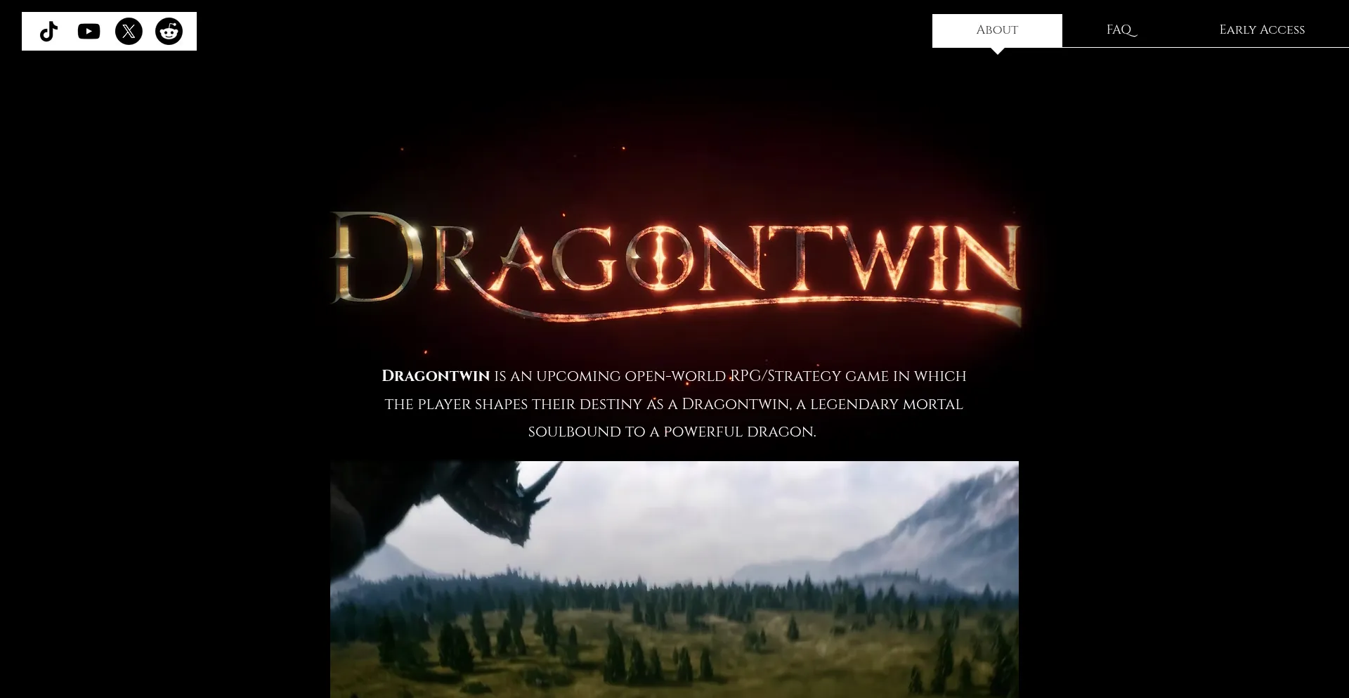 Dragontwin.com