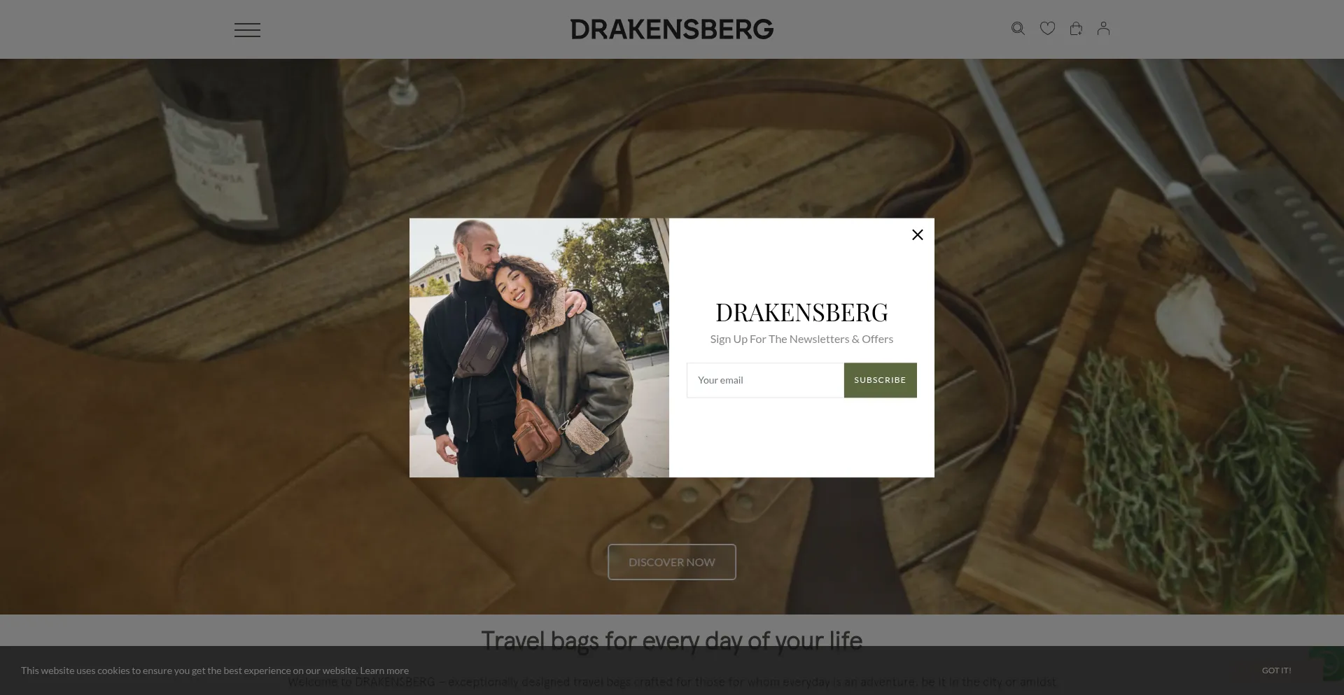 Website screenshot of Drakensberg.in
