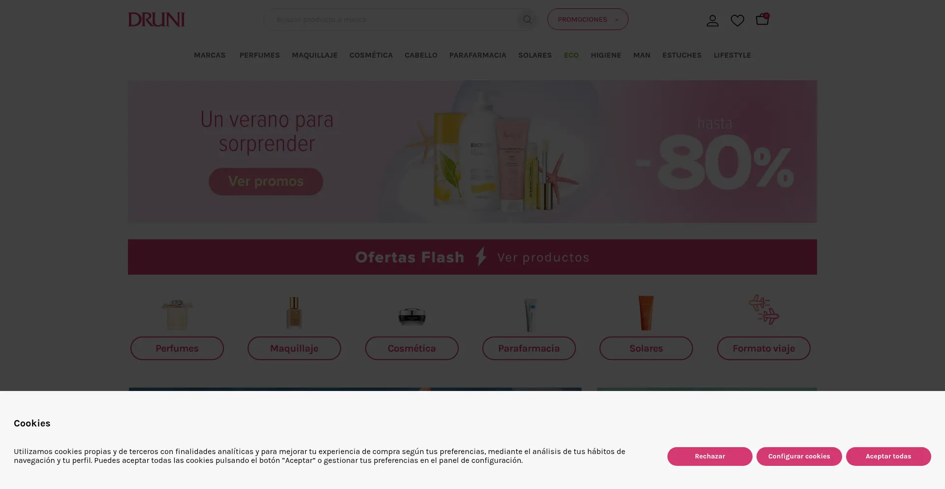 Website screenshot of Druni.es