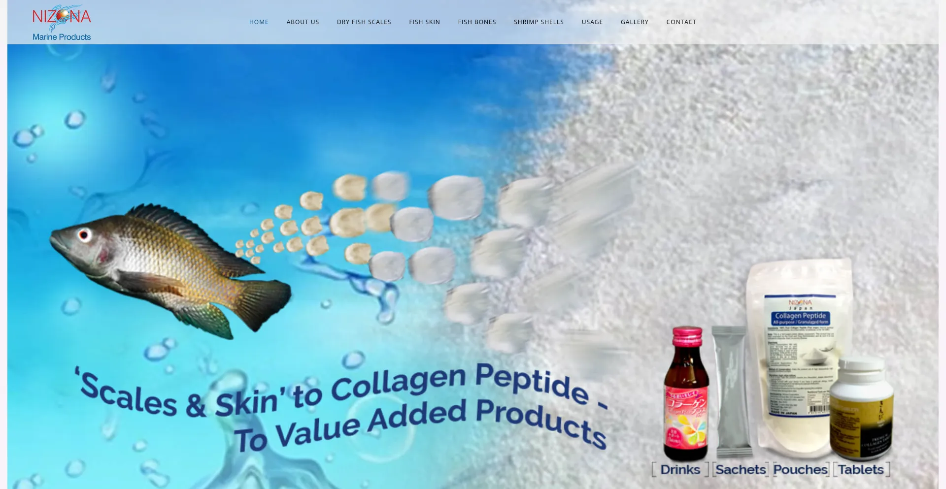 Dryfishscales.com