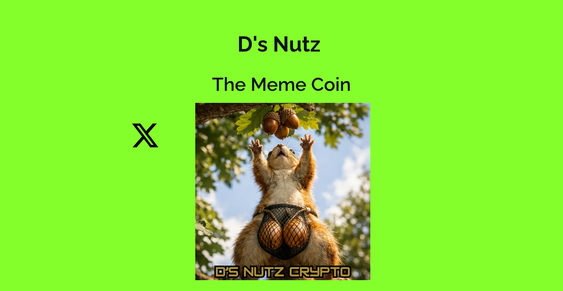 Dsnutzcrypto.com