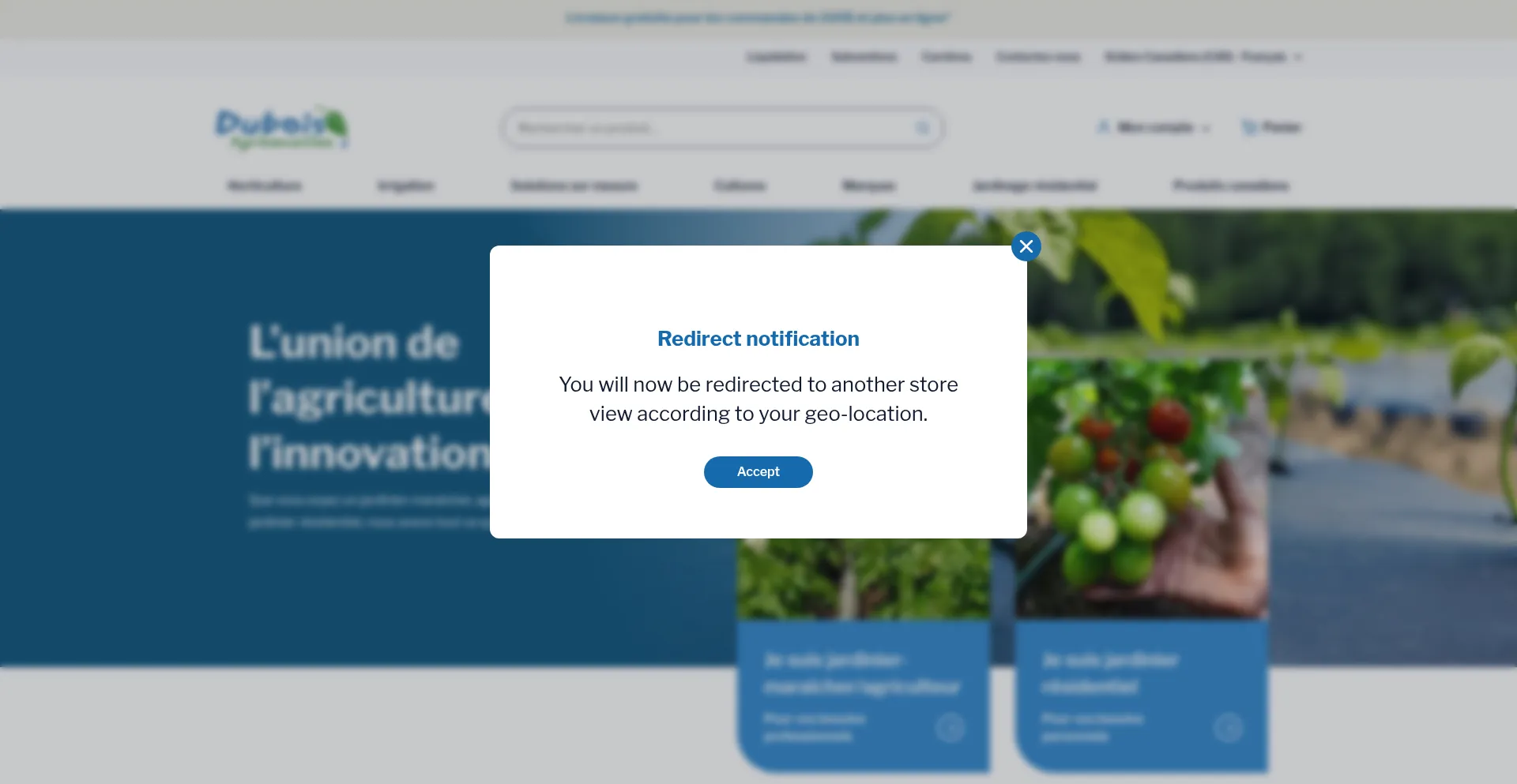 Website screenshot of Duboisag.com
