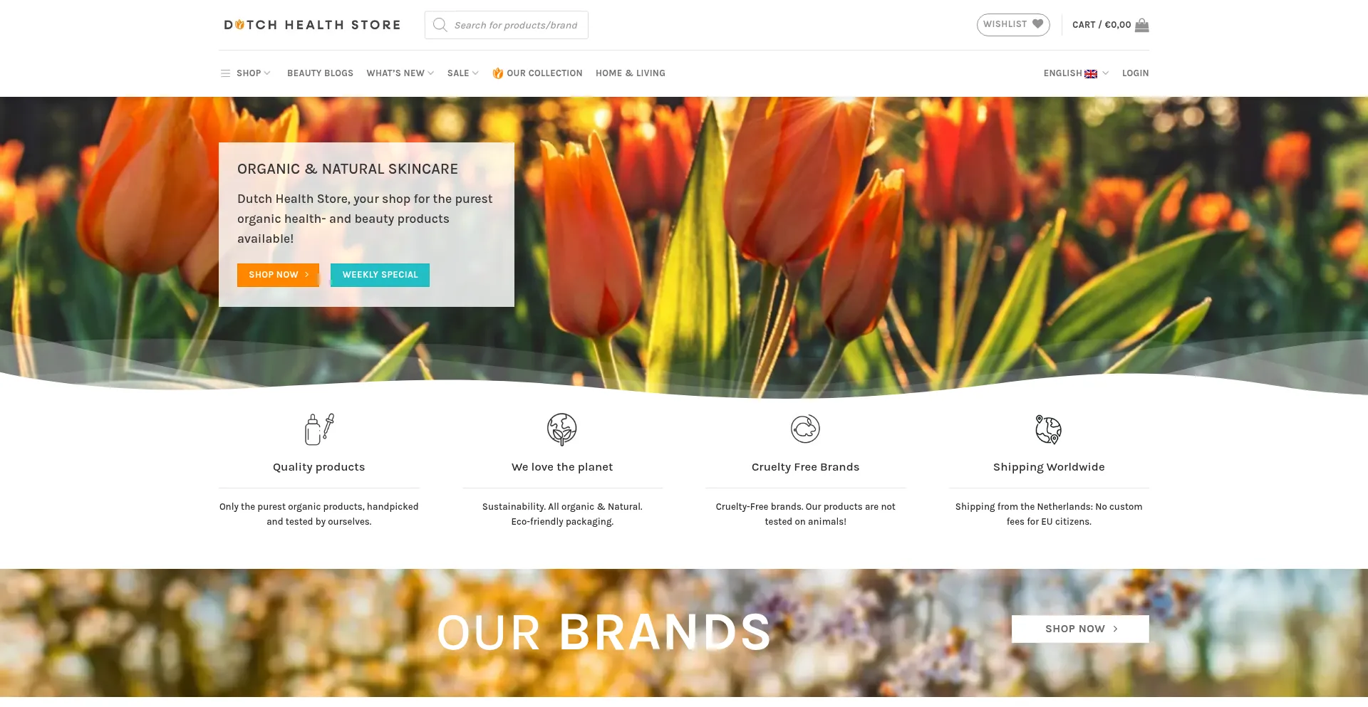 Website screenshot of Dutchhealthstore.com