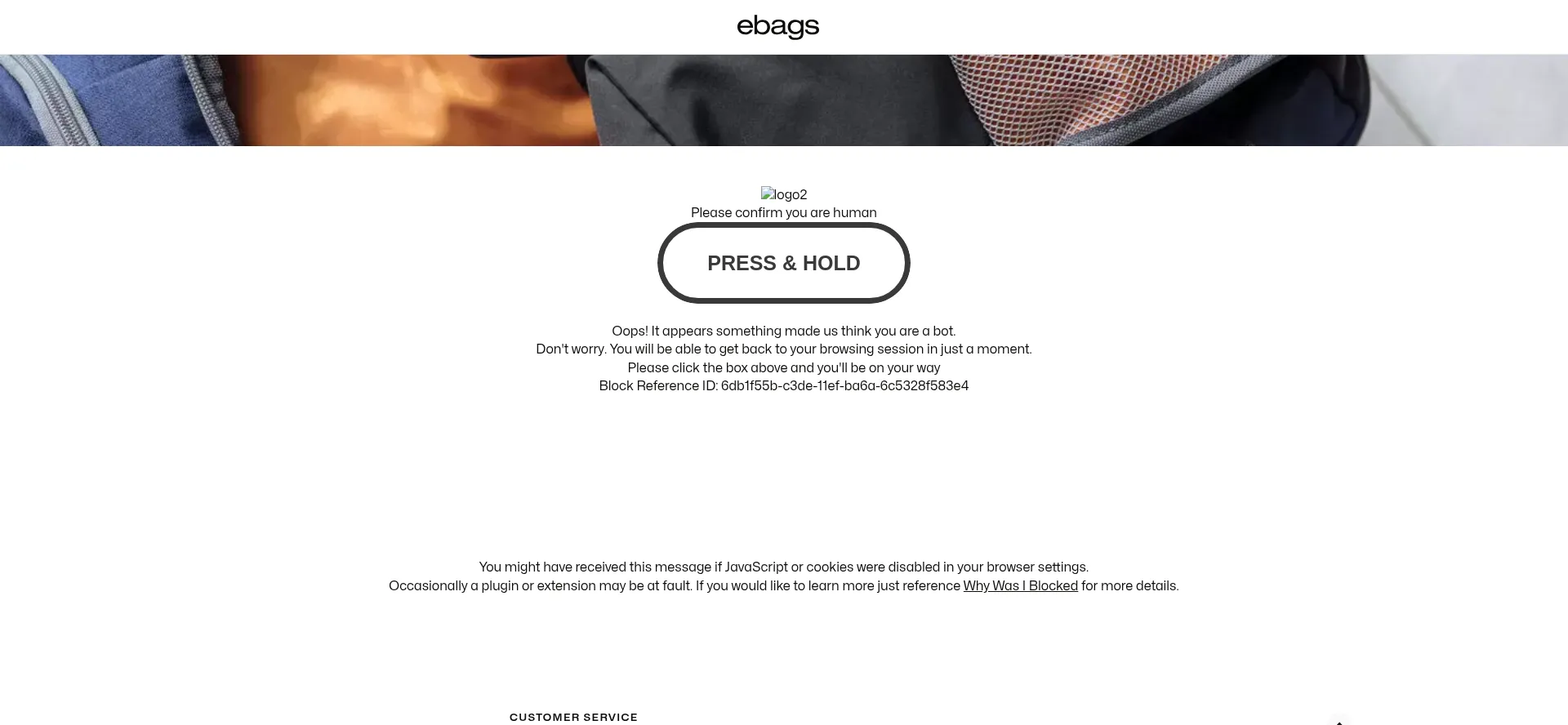 Website screenshot of Ebags.com