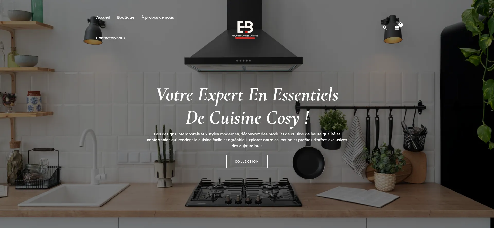 Website screenshot of Ebbfa.us