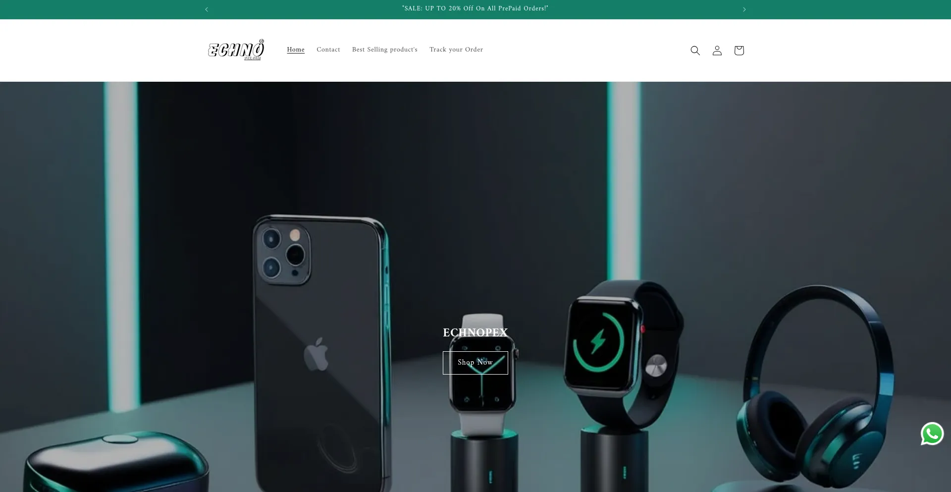 Website screenshot of Echnopex.com