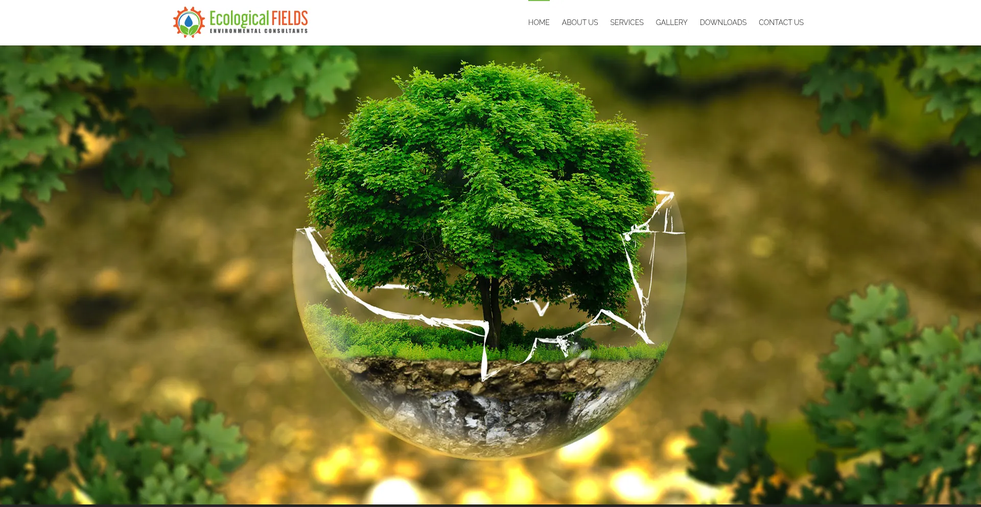 Ecologicalfields.co.za est-il Sûr et Fiable ?