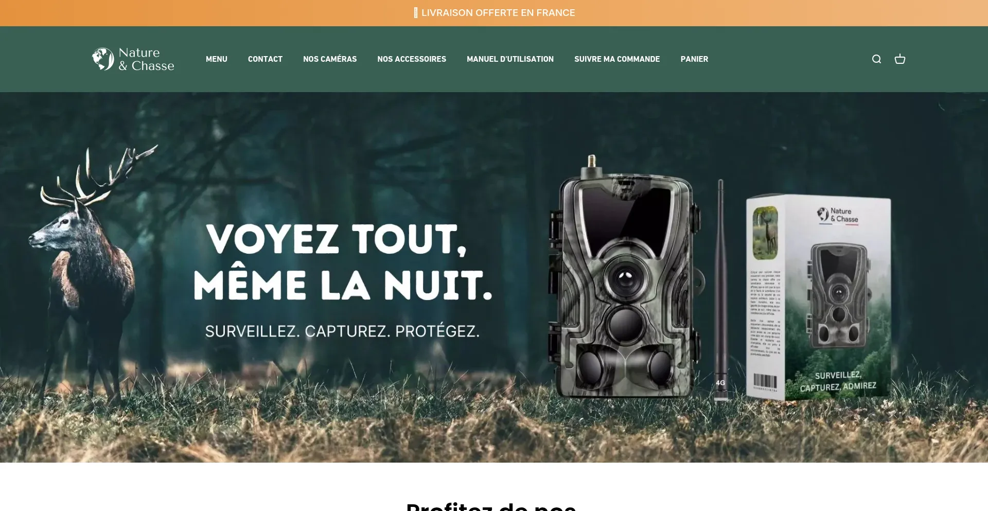 Website screenshot of Electro-chasse.com