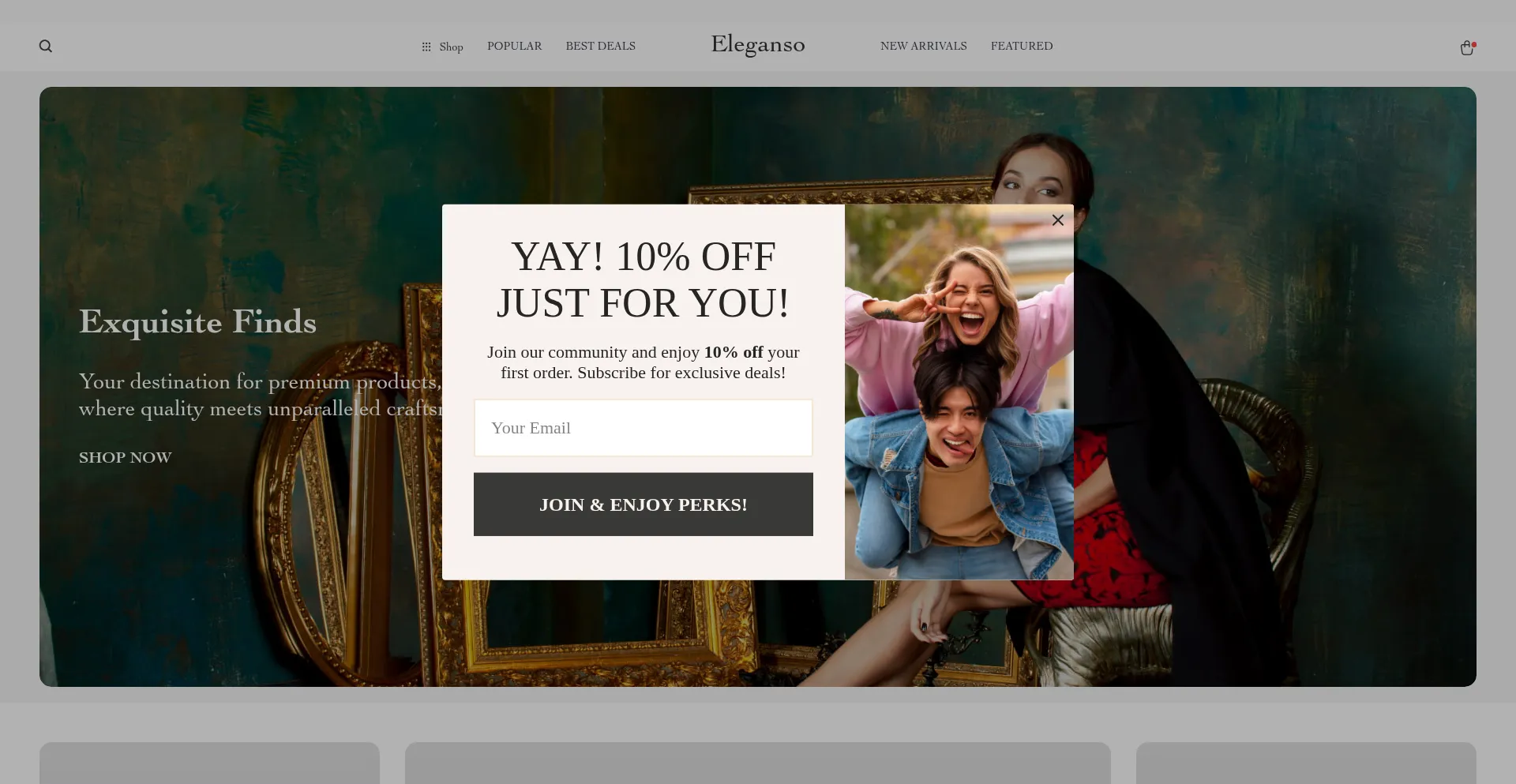 Website screenshot of Eleganso.com
