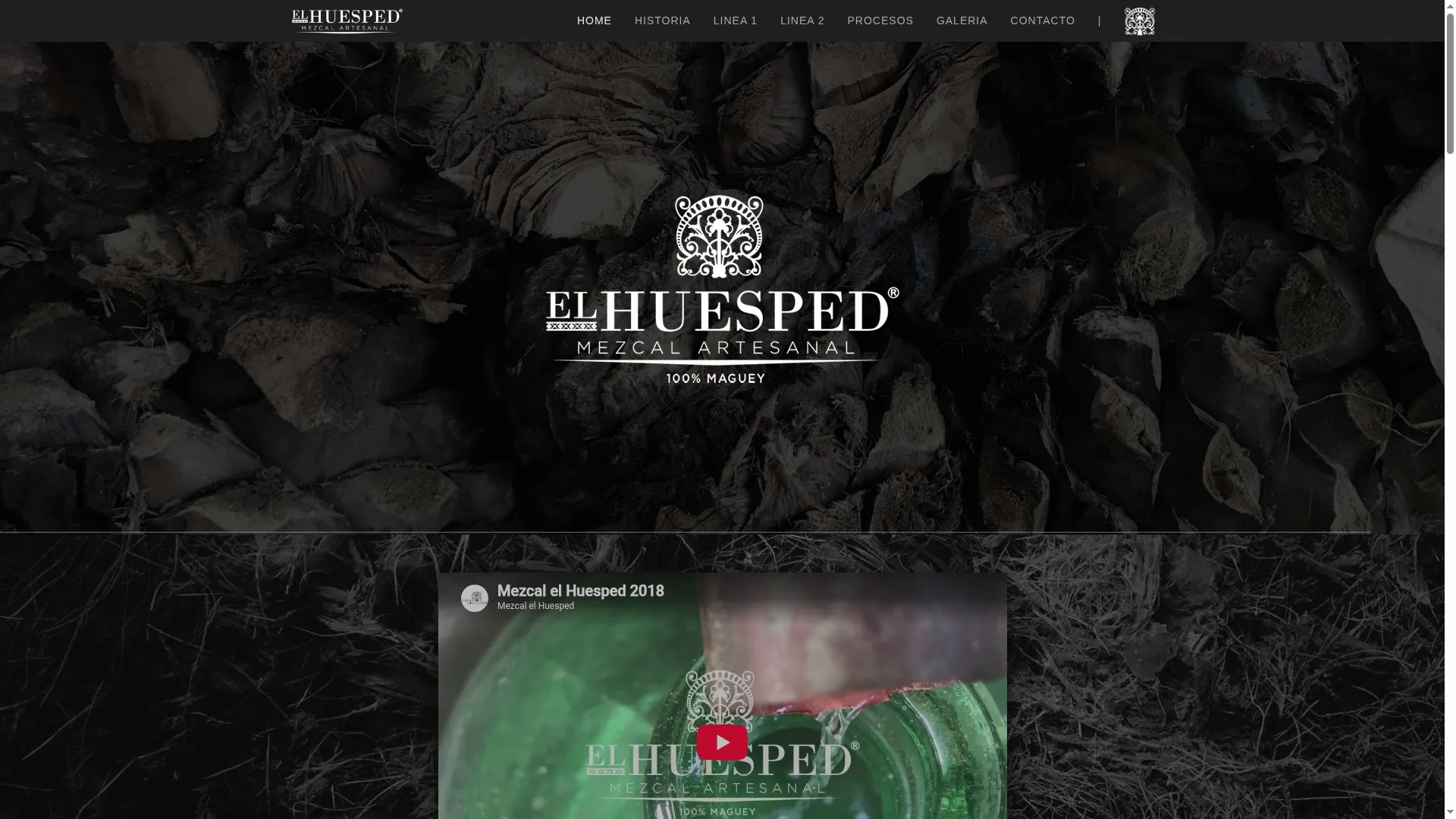 Elhuesped.com.mx