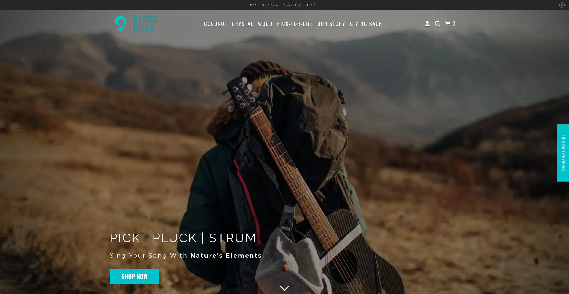 Elmntpicks.com est-il Sûr et Fiable ?