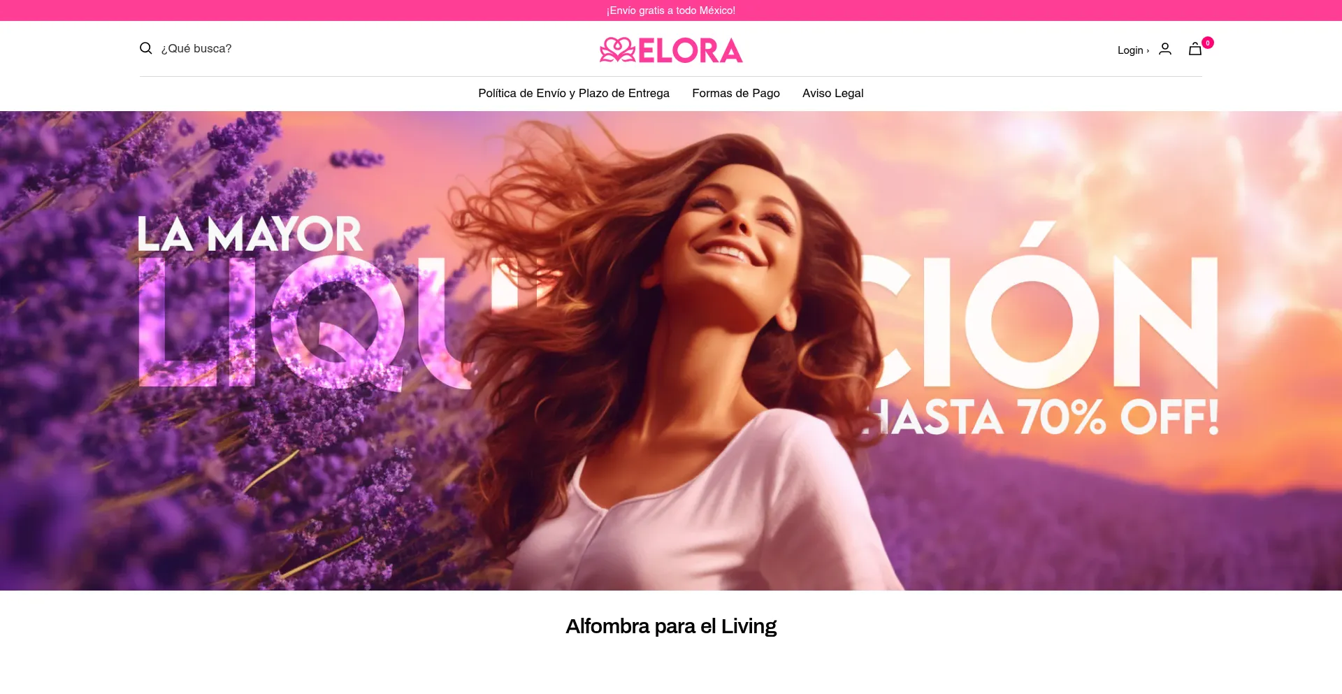 Website screenshot of Eloraaa.com